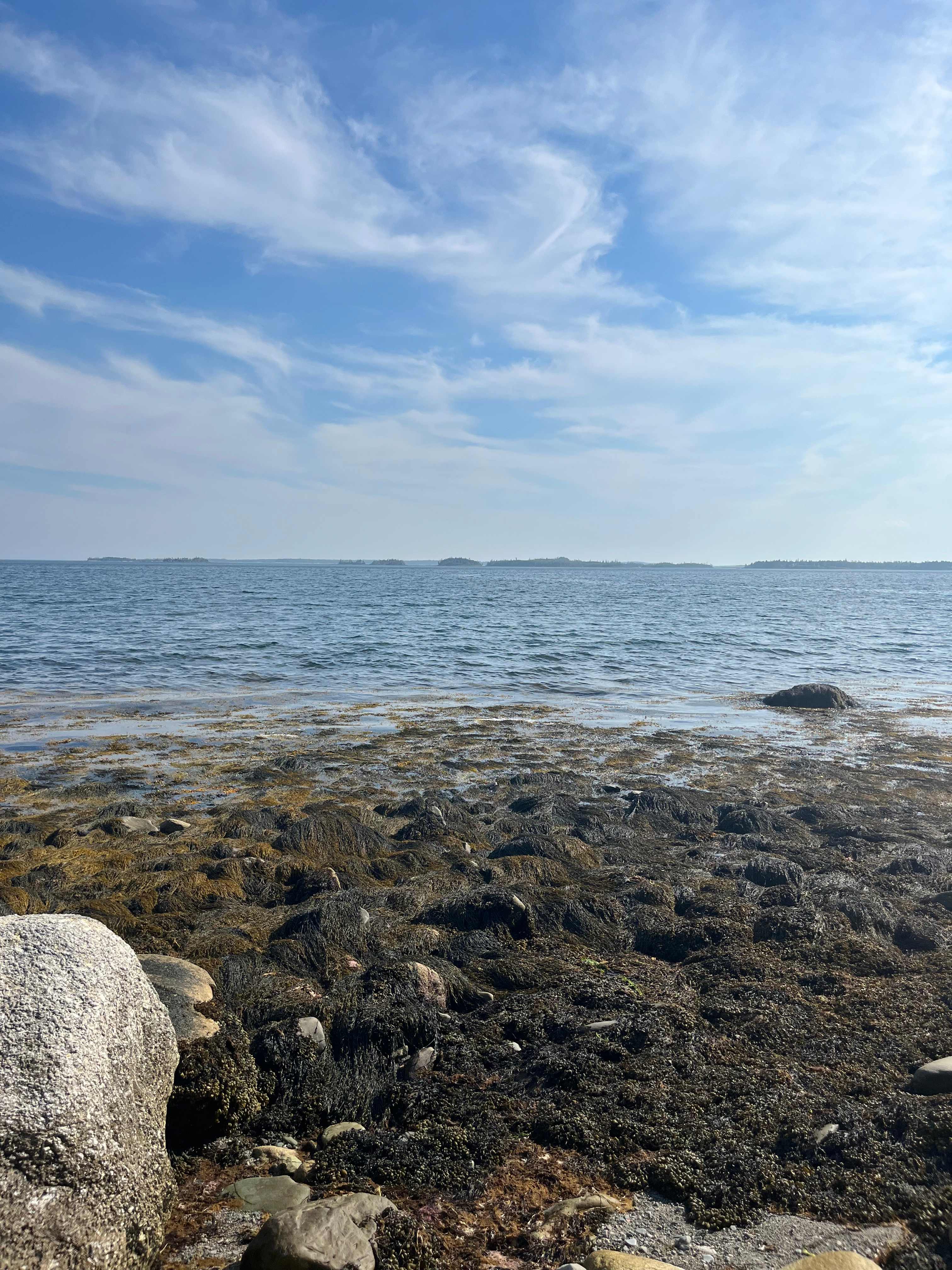 Sleep By The Sea