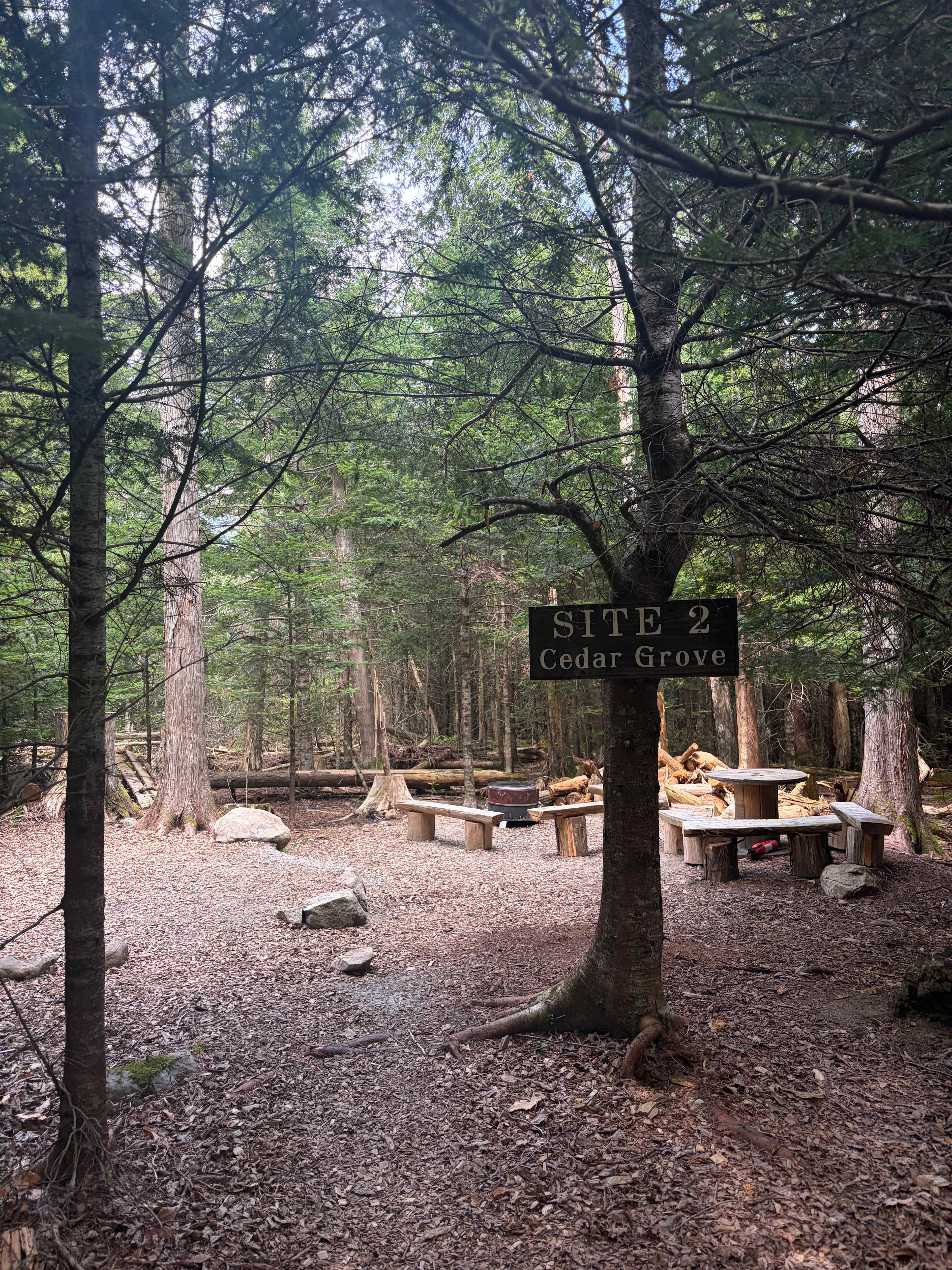 Picture of the site