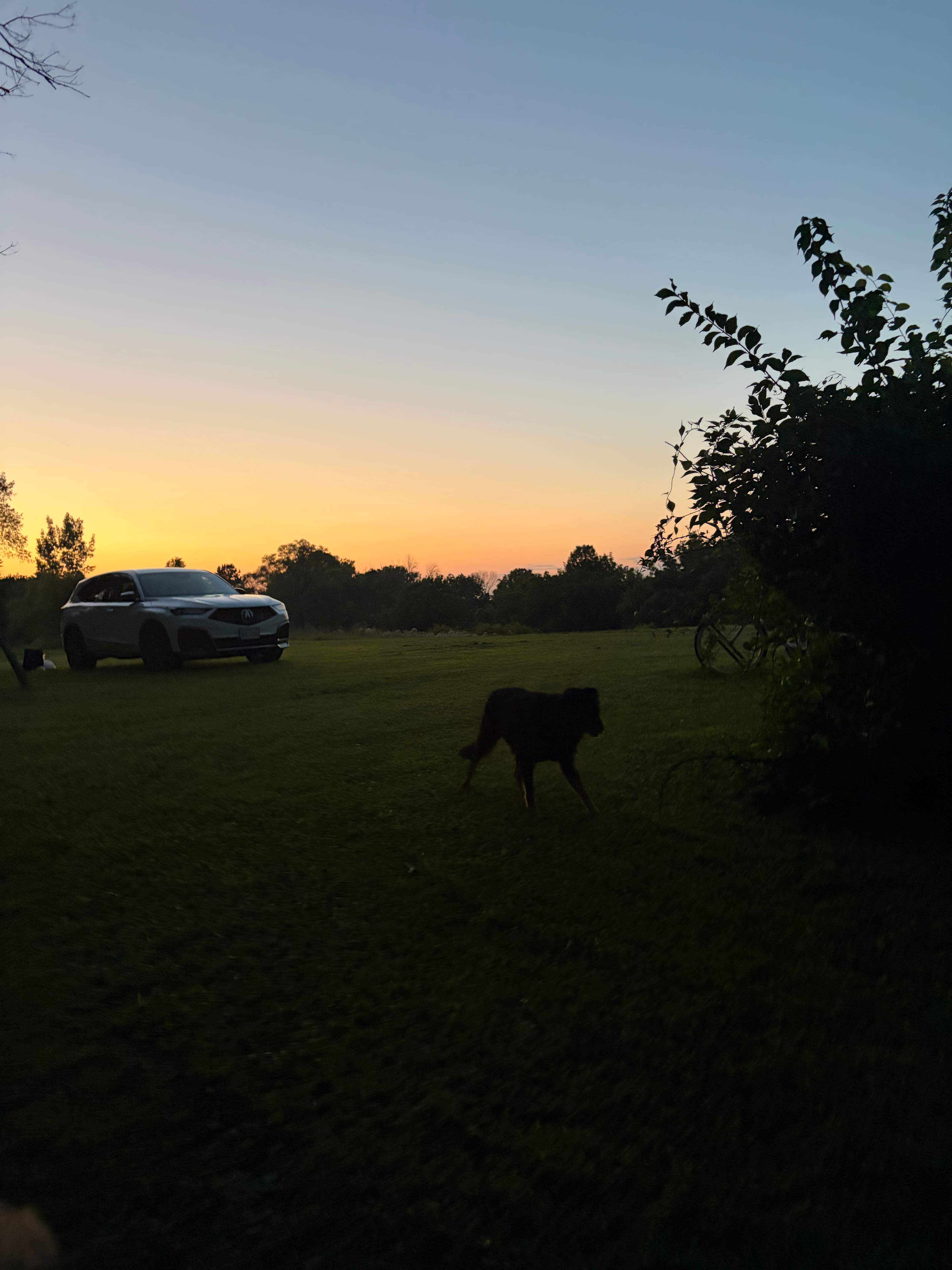n*Everland Barnyard Camping