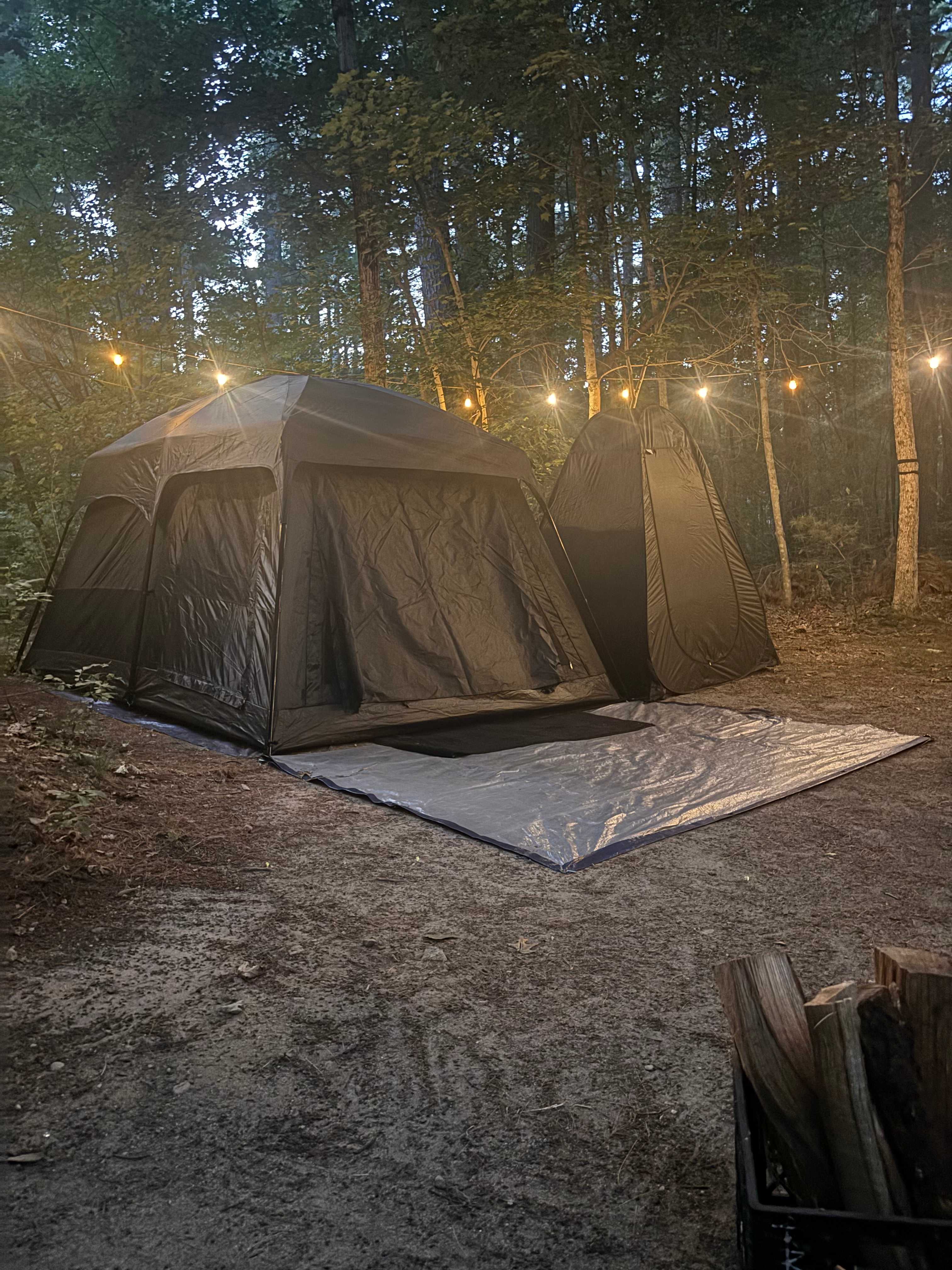 Cozy Wooded Nook