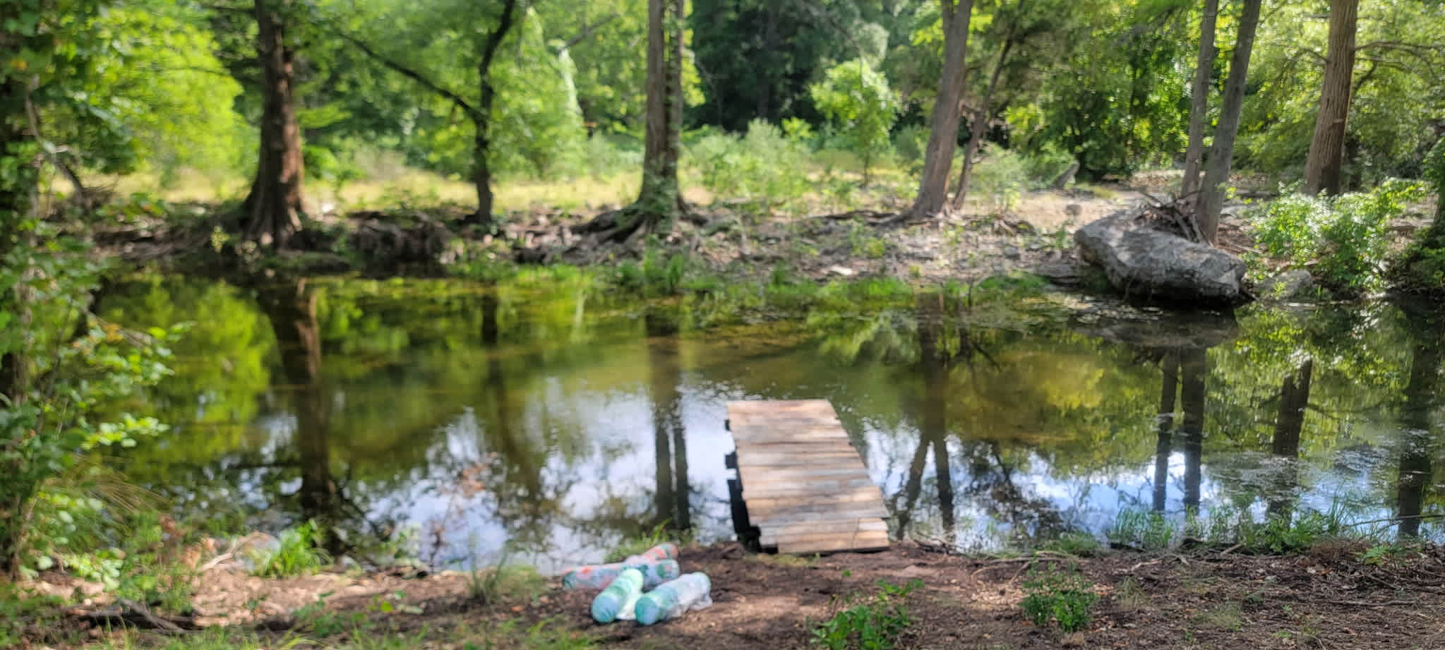 Picture of the site