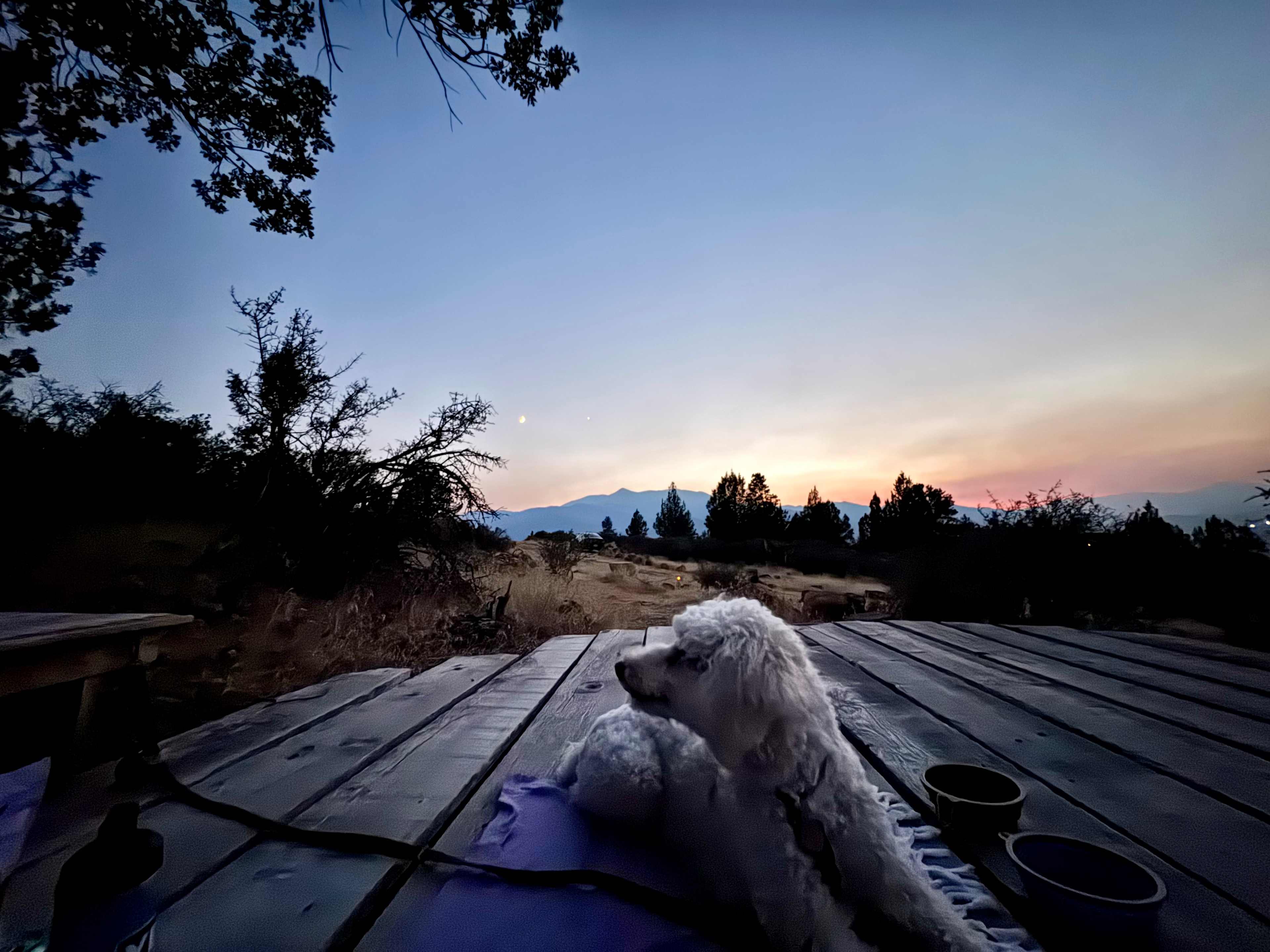 Firebird Ridge