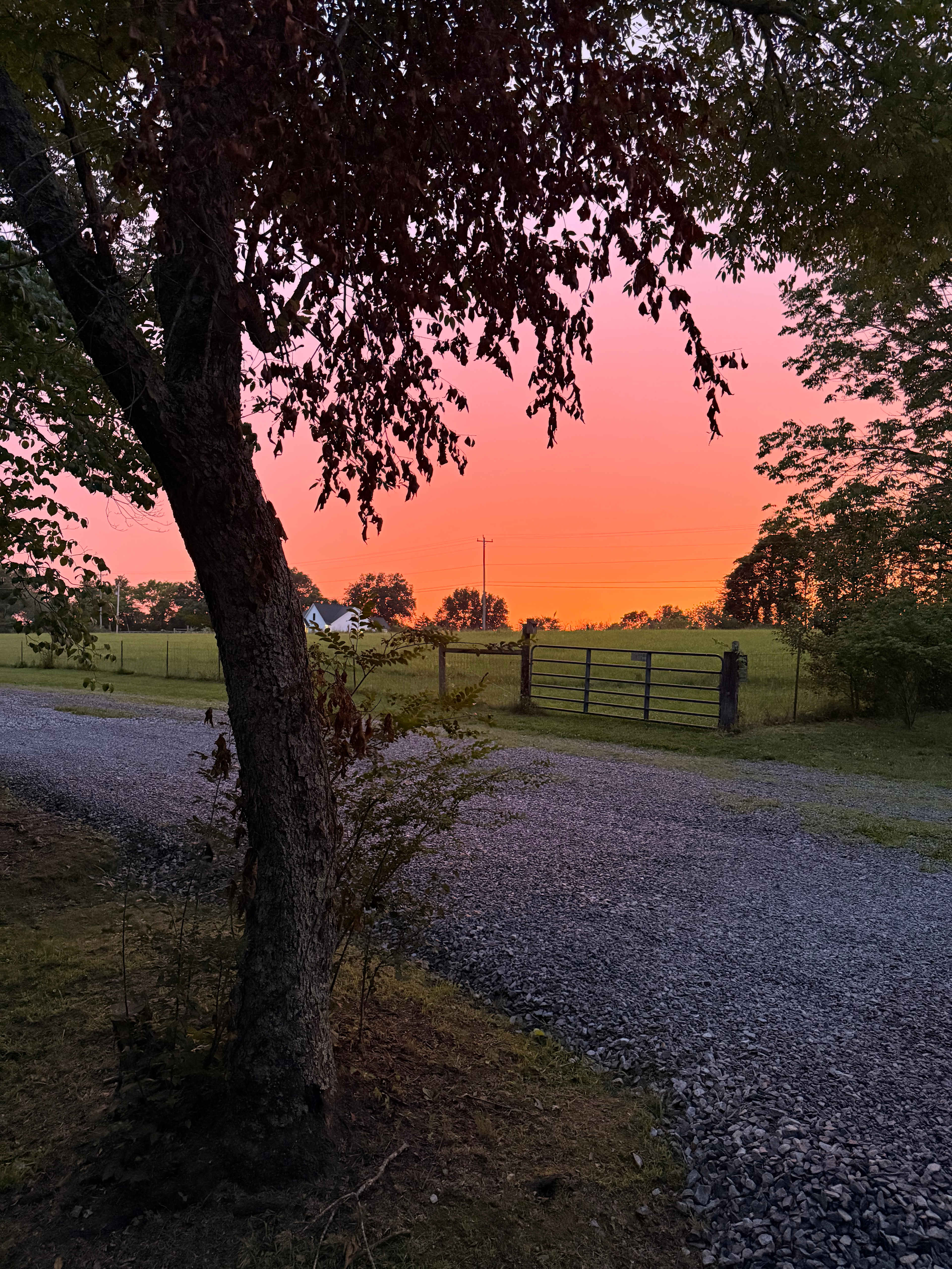 Maple Shade Farm full hookup site