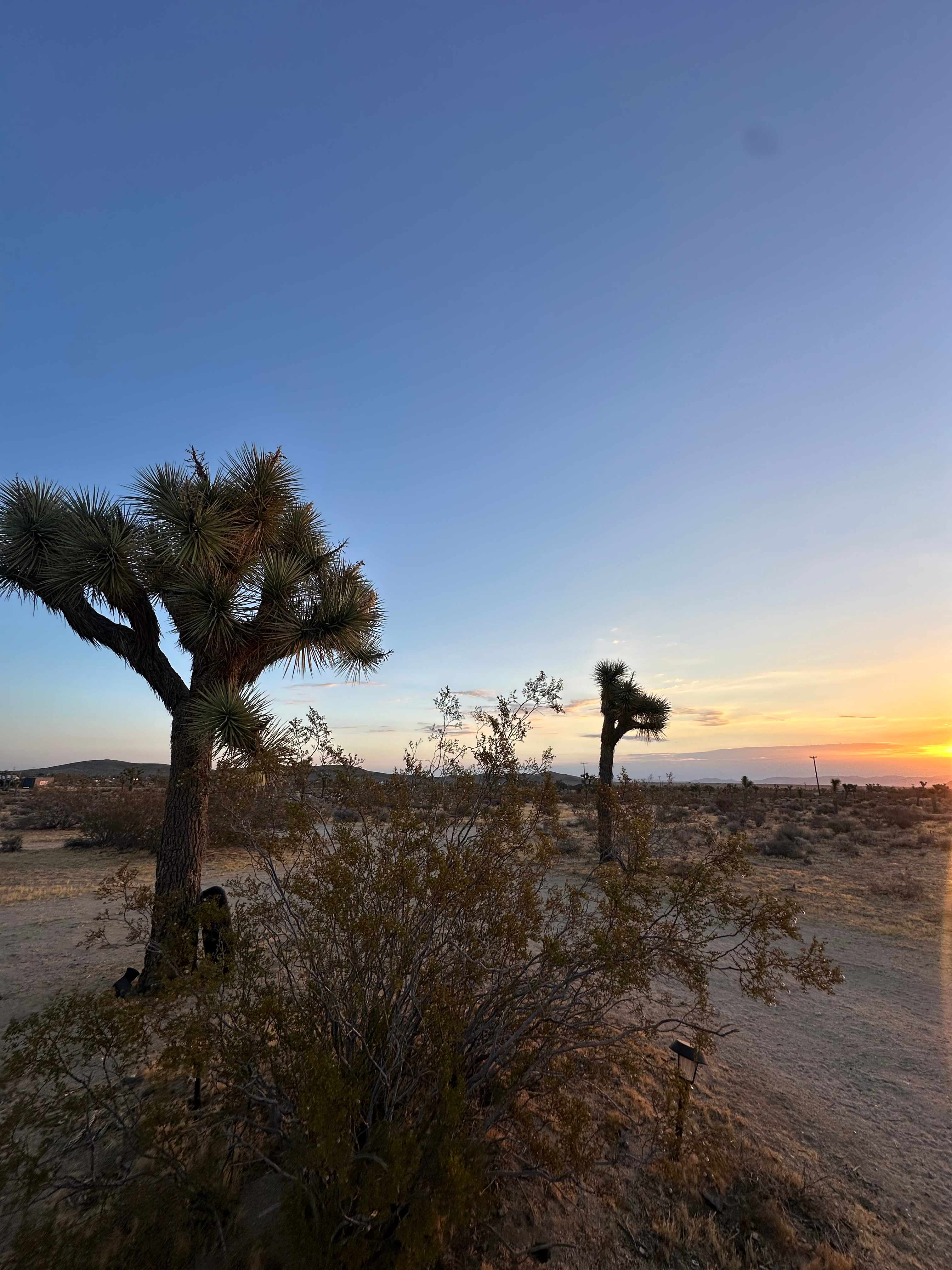 Caribbean Mojave Escape