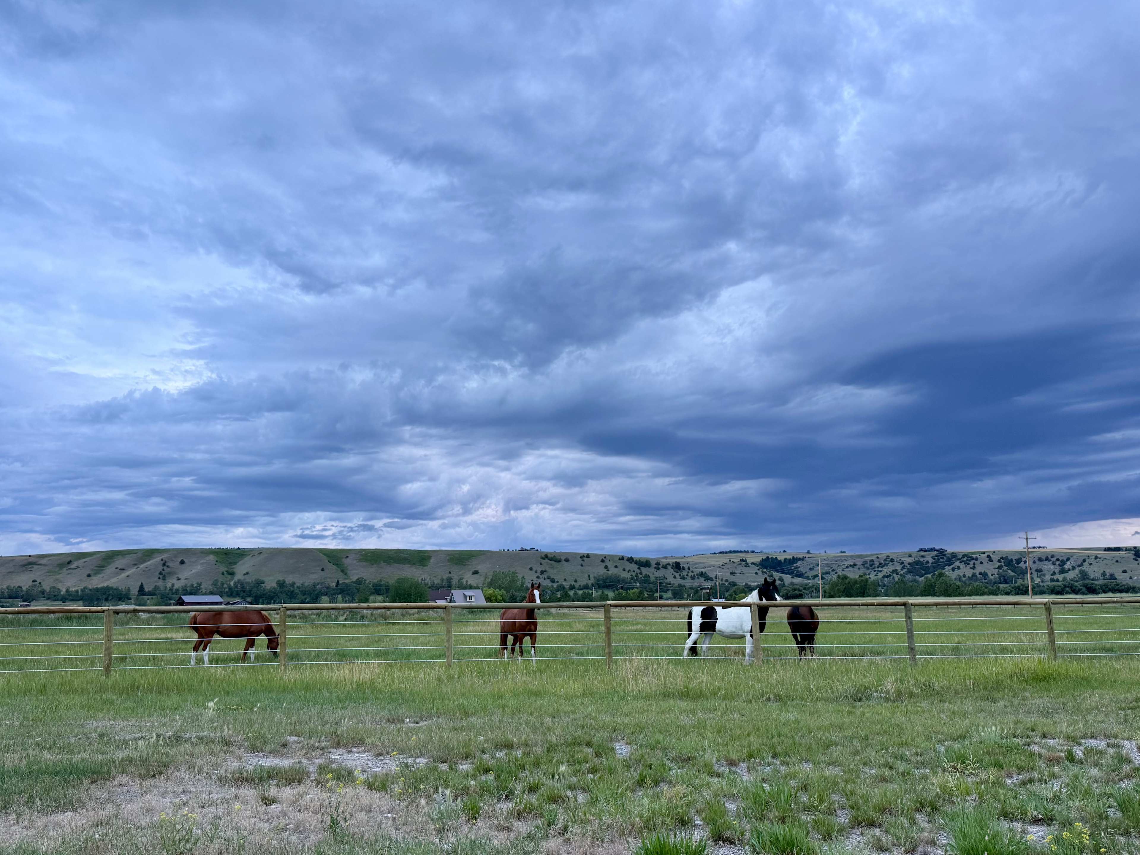 Cloud Nine Equine Ranch