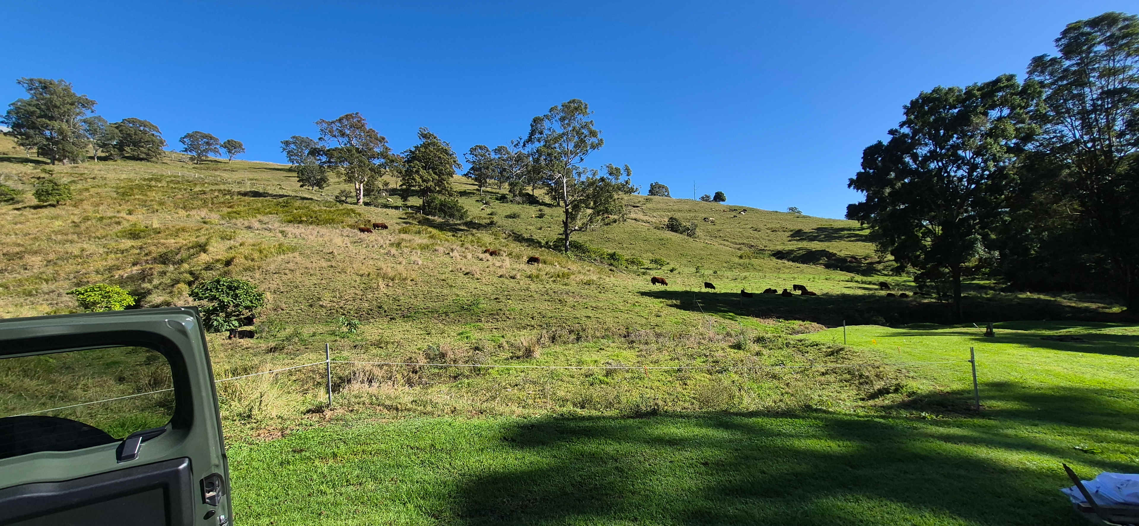 Coorie Vale