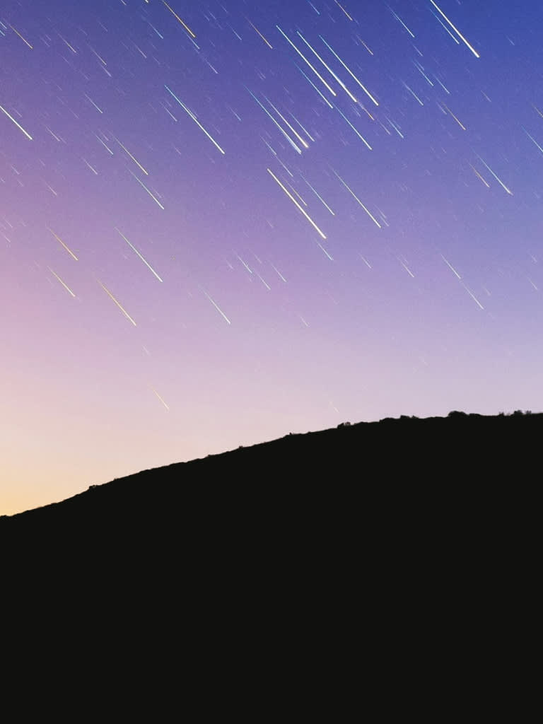 Perseids