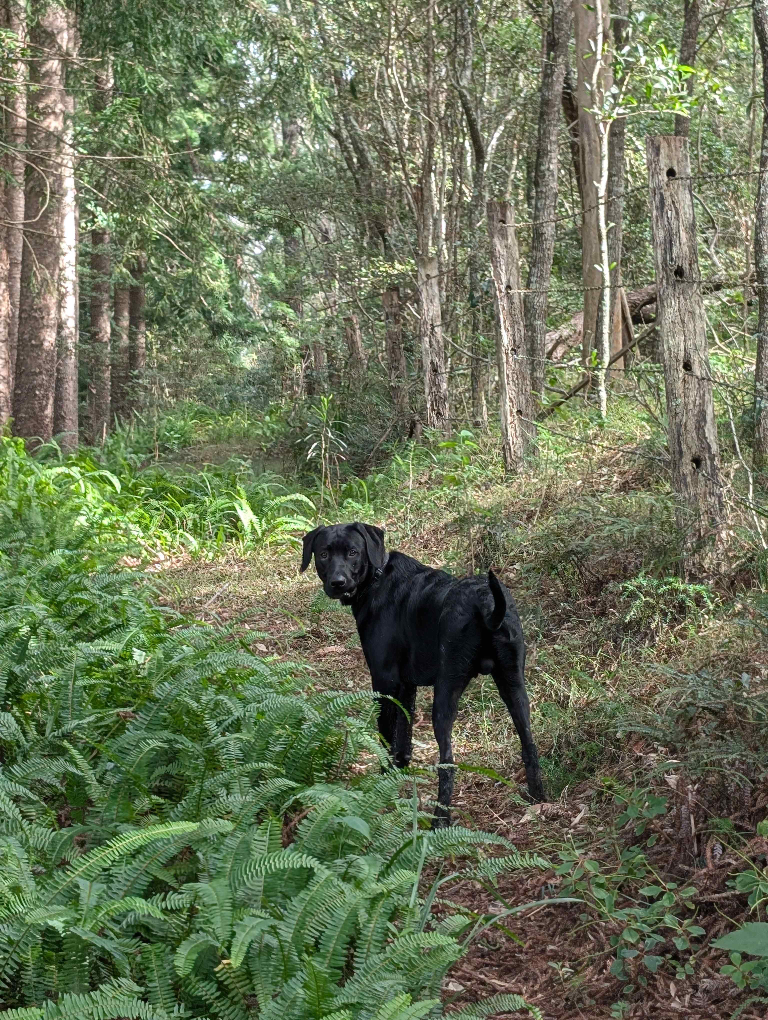 Tyungun Country Retreat