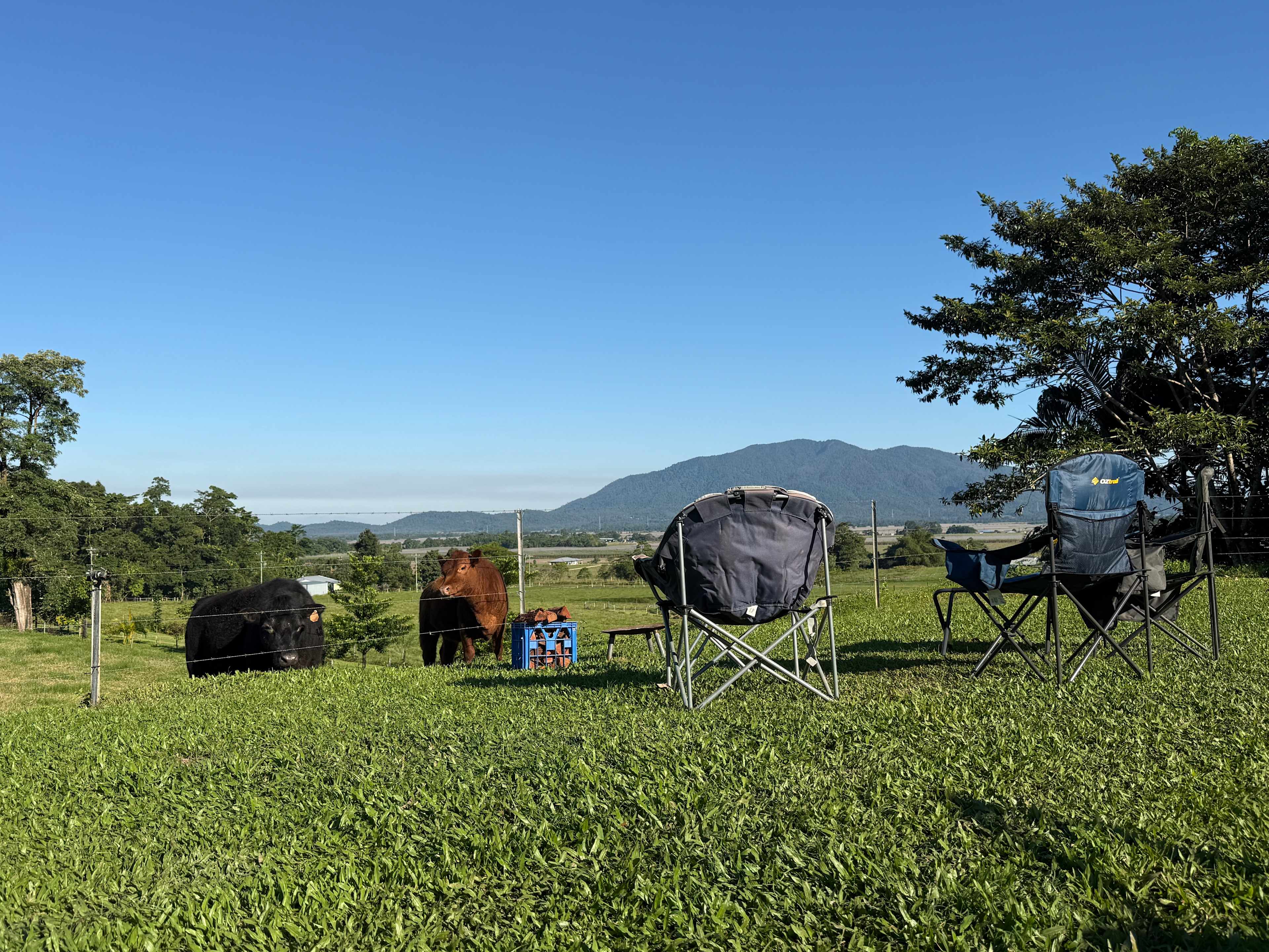 Tully Mountain ⛰️ Views