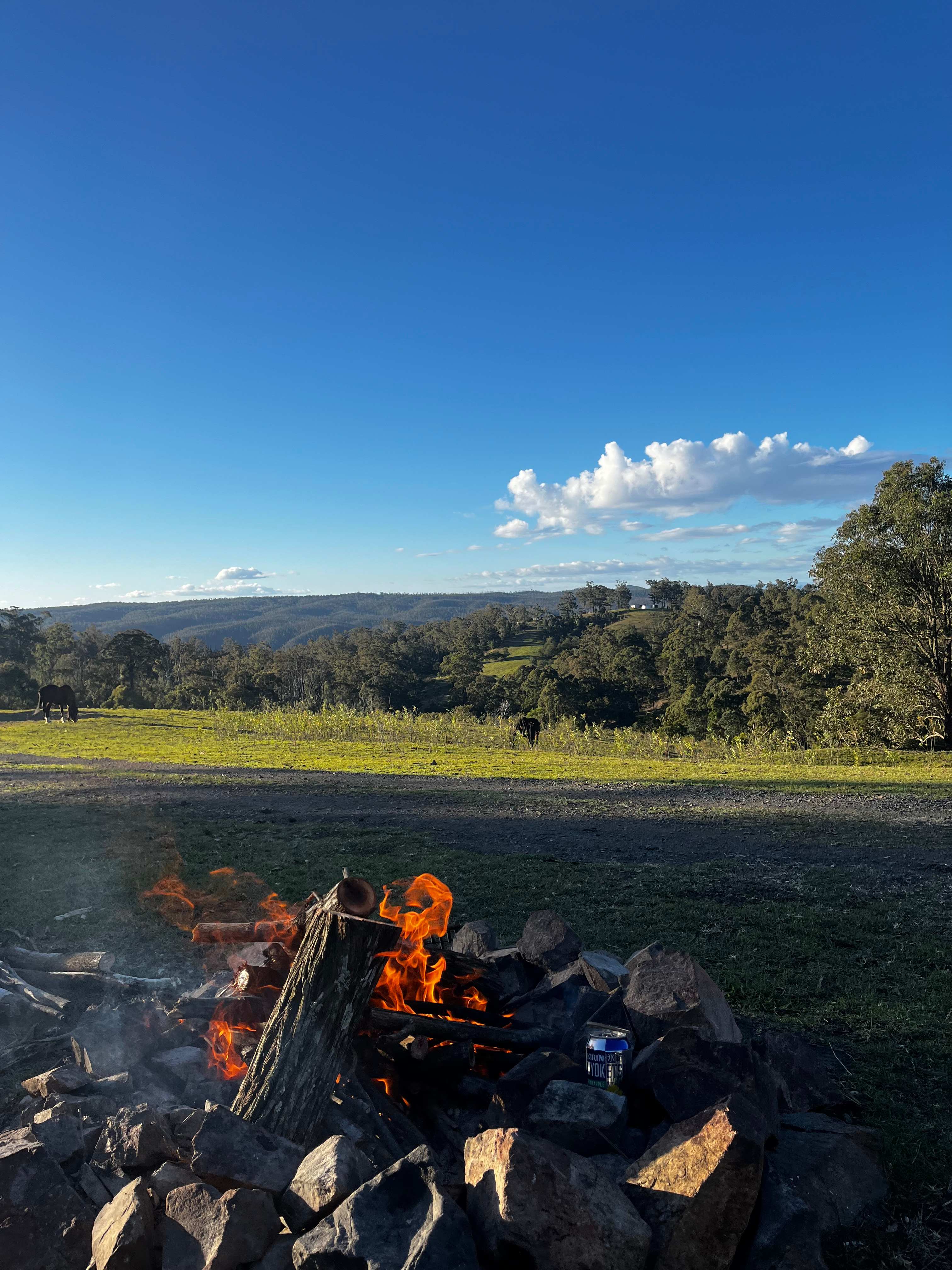 Foothills