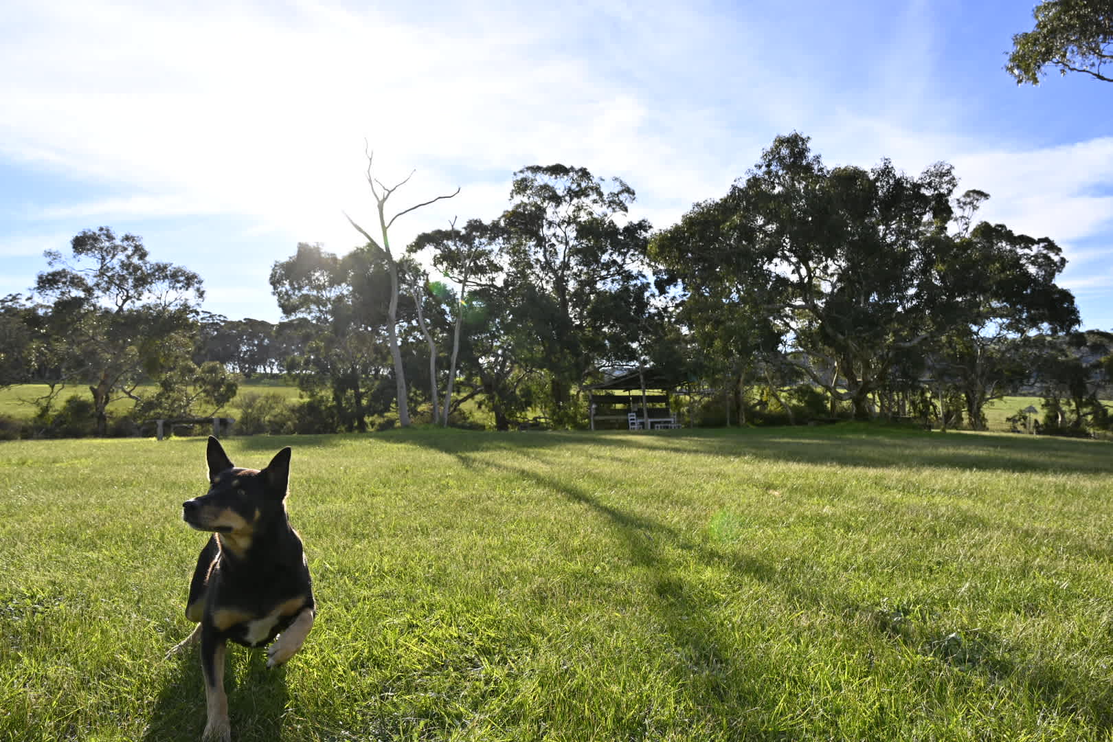 Alma's Hem Amphitheatre Retreat