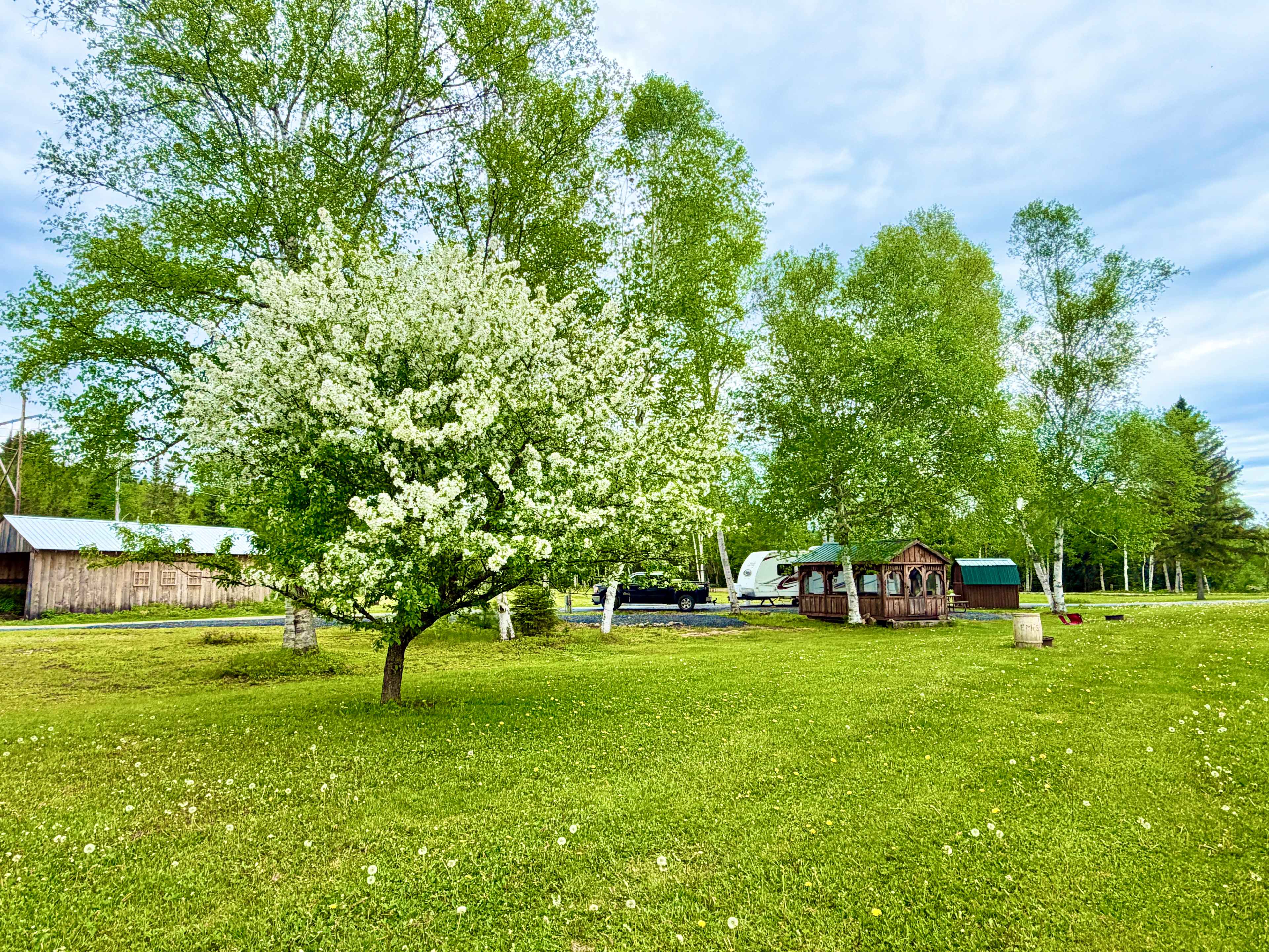 Picture of the site