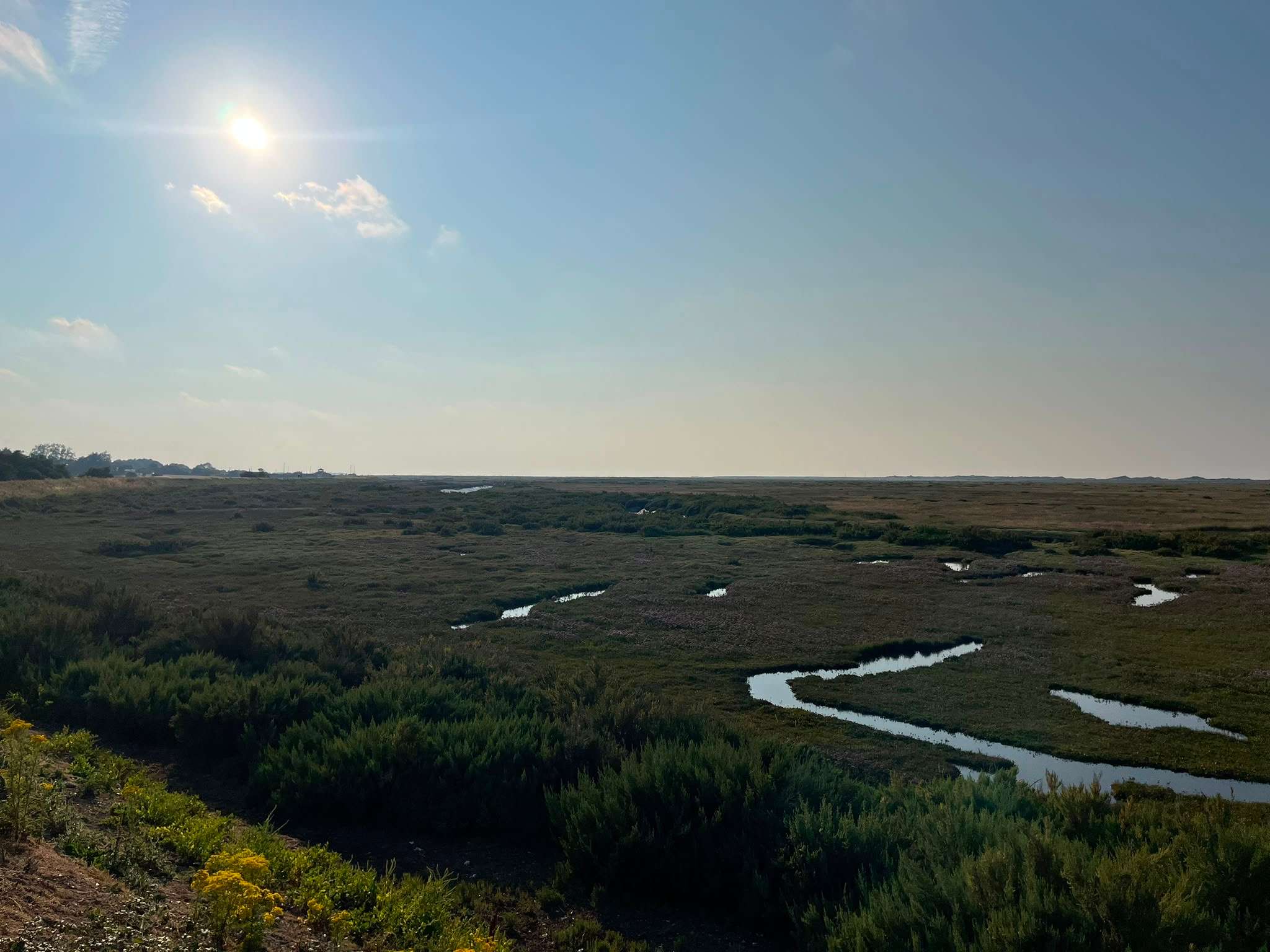 Picture of the site