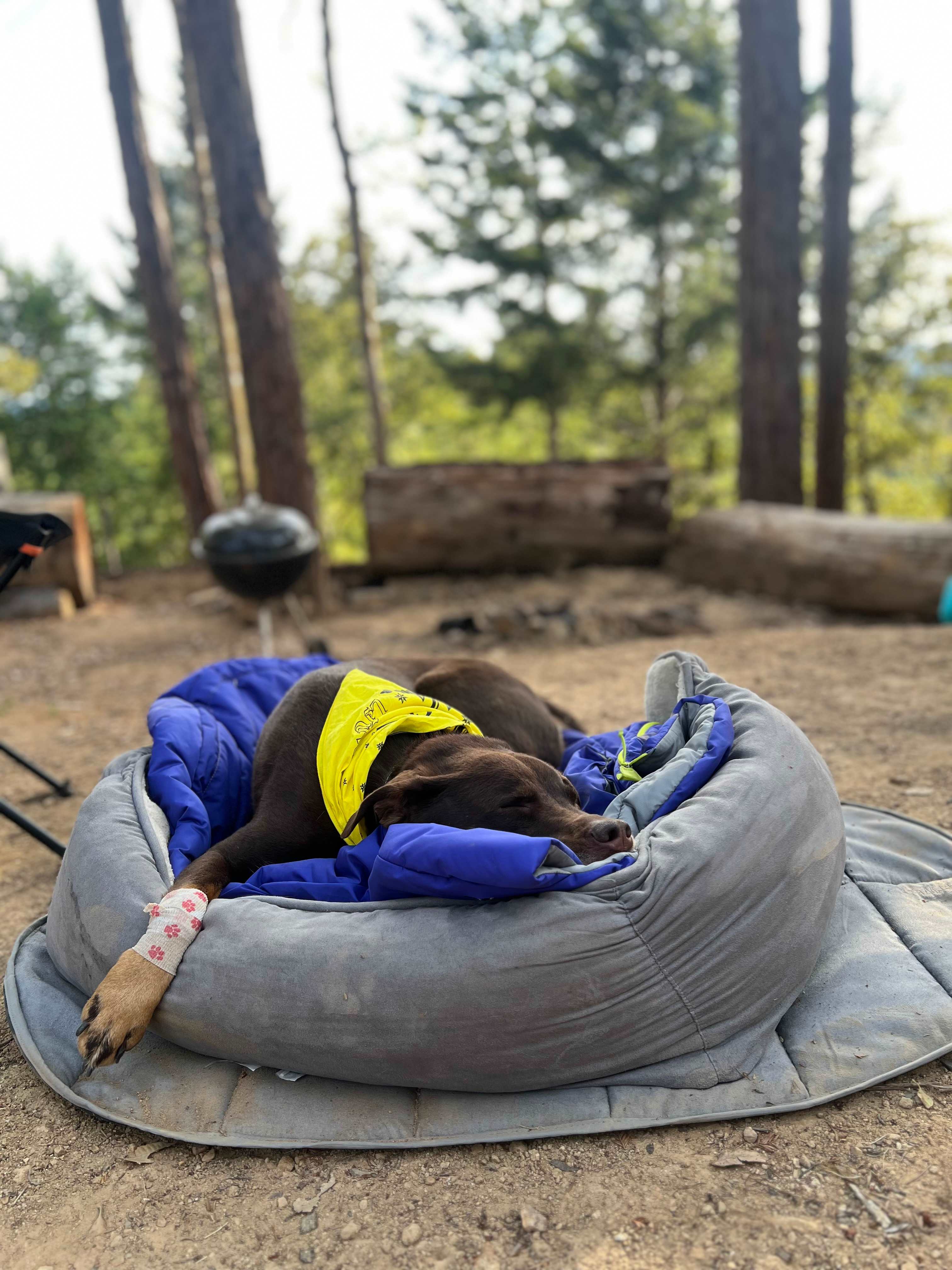 Robbers Roost Campground