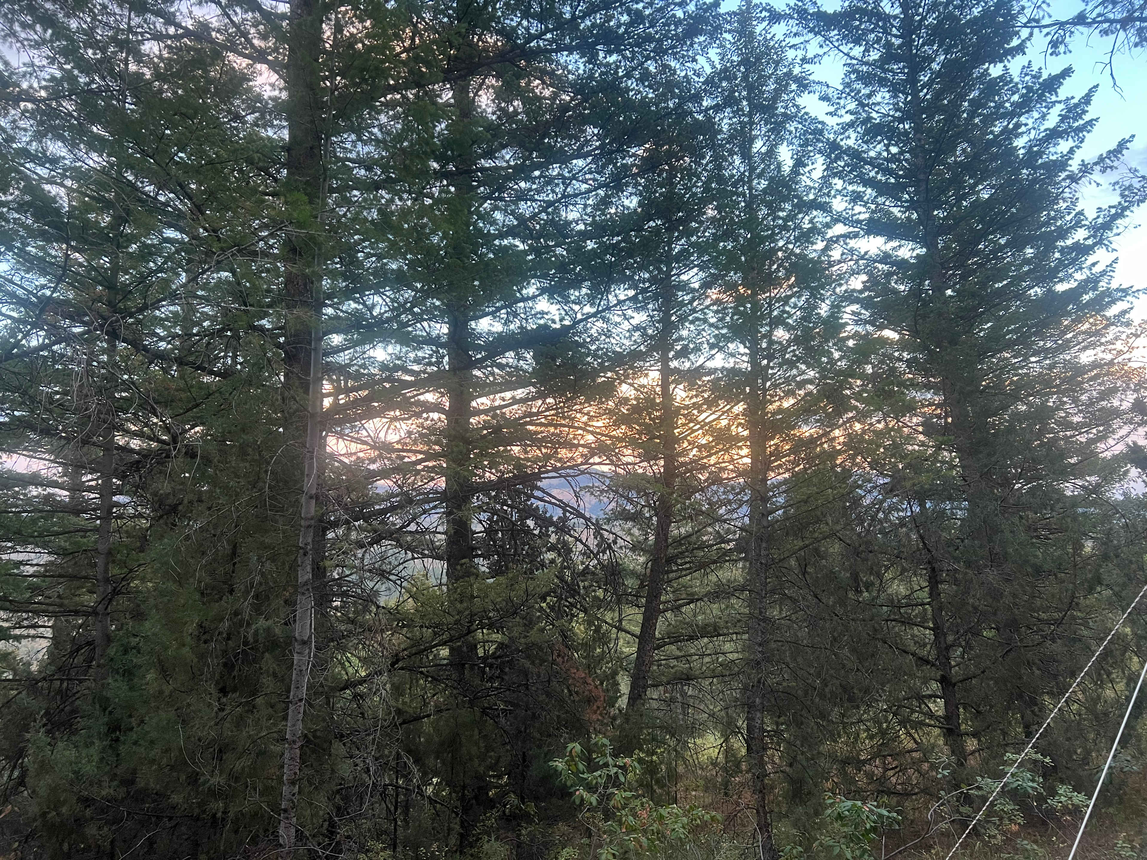 Lava Camp 1