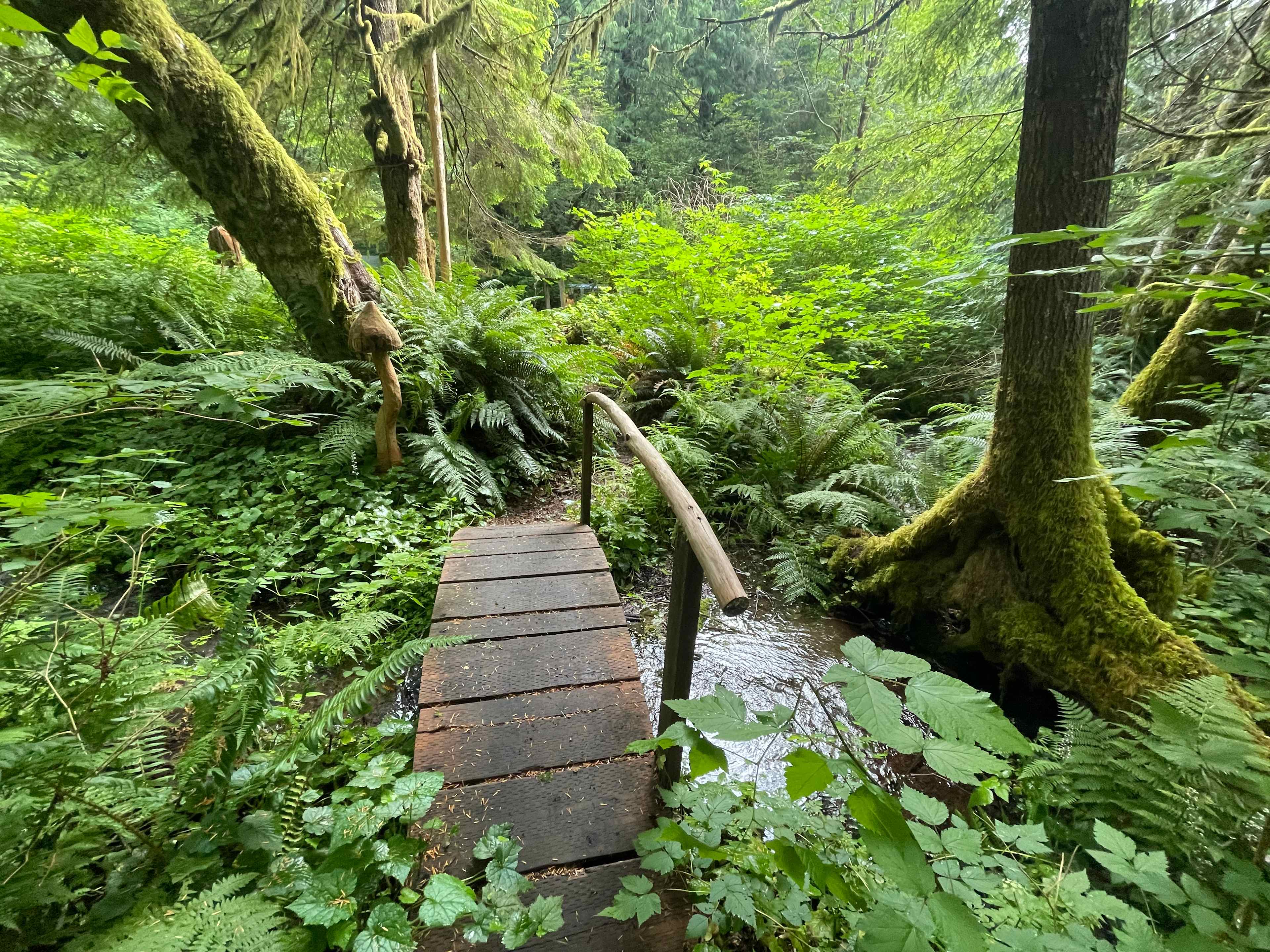 sol duc rainforest retreat