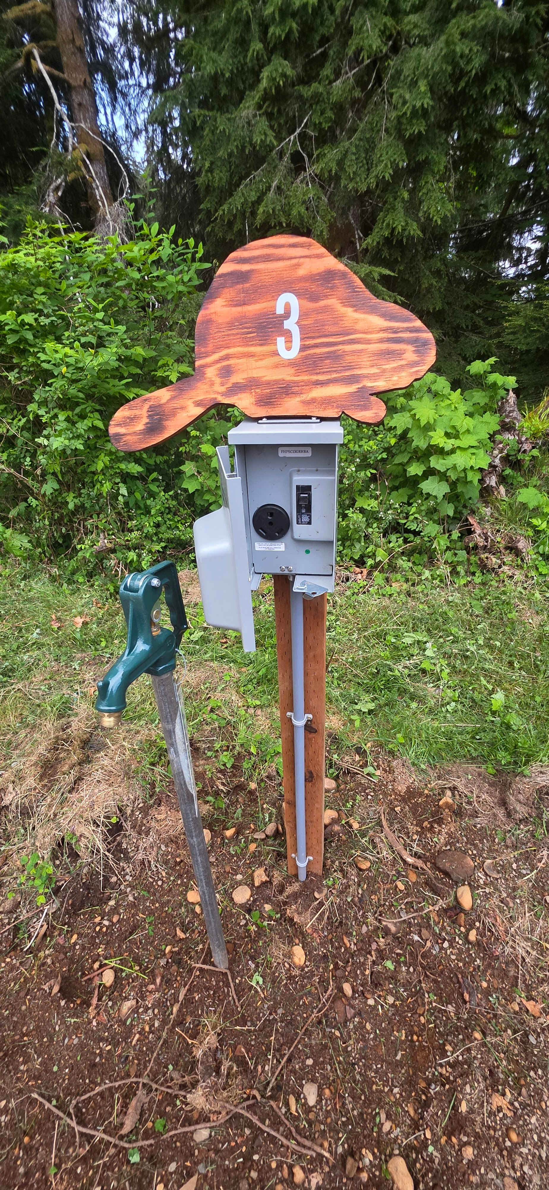 Picture of the site