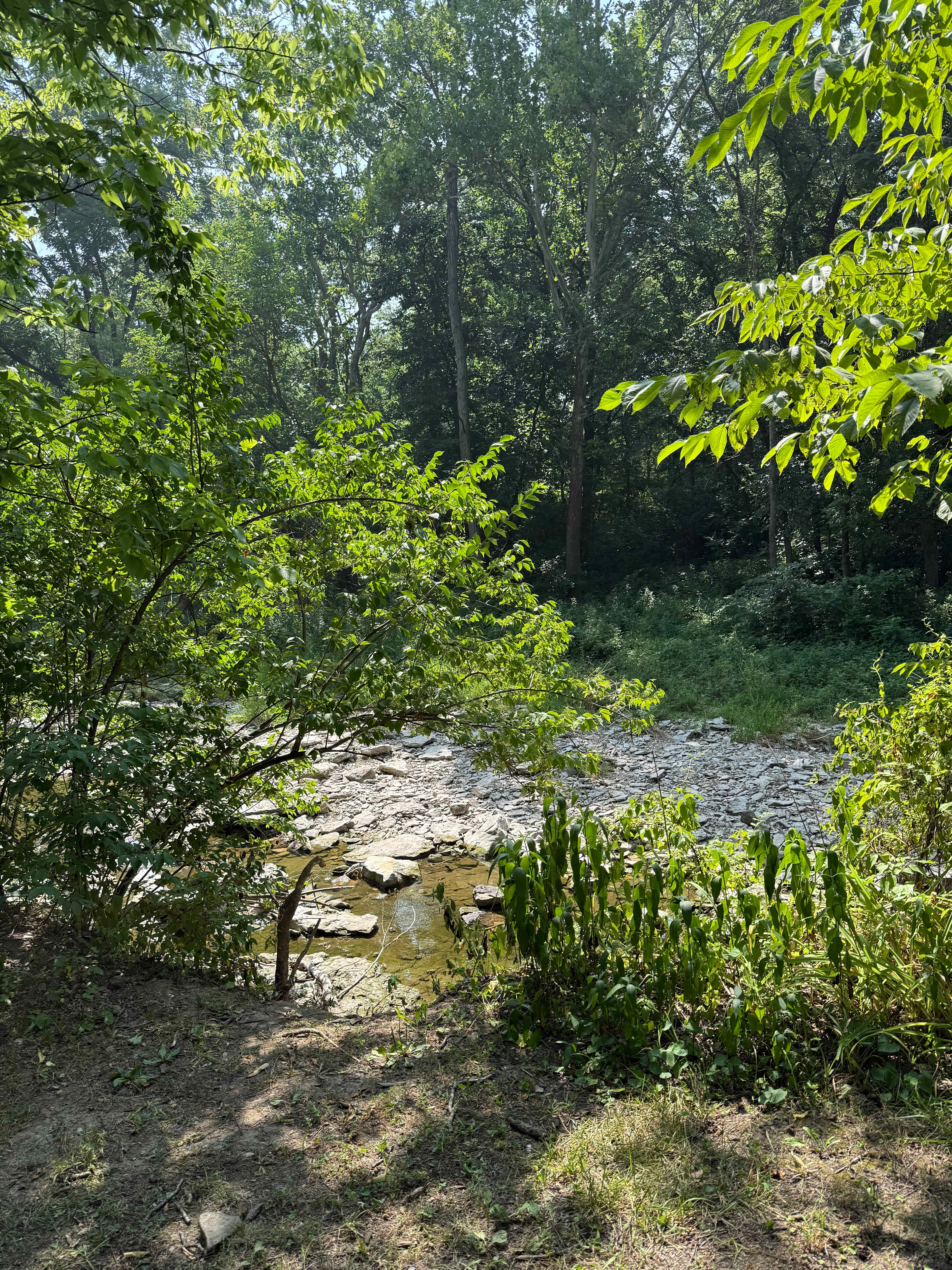 Railroad creek camp ground