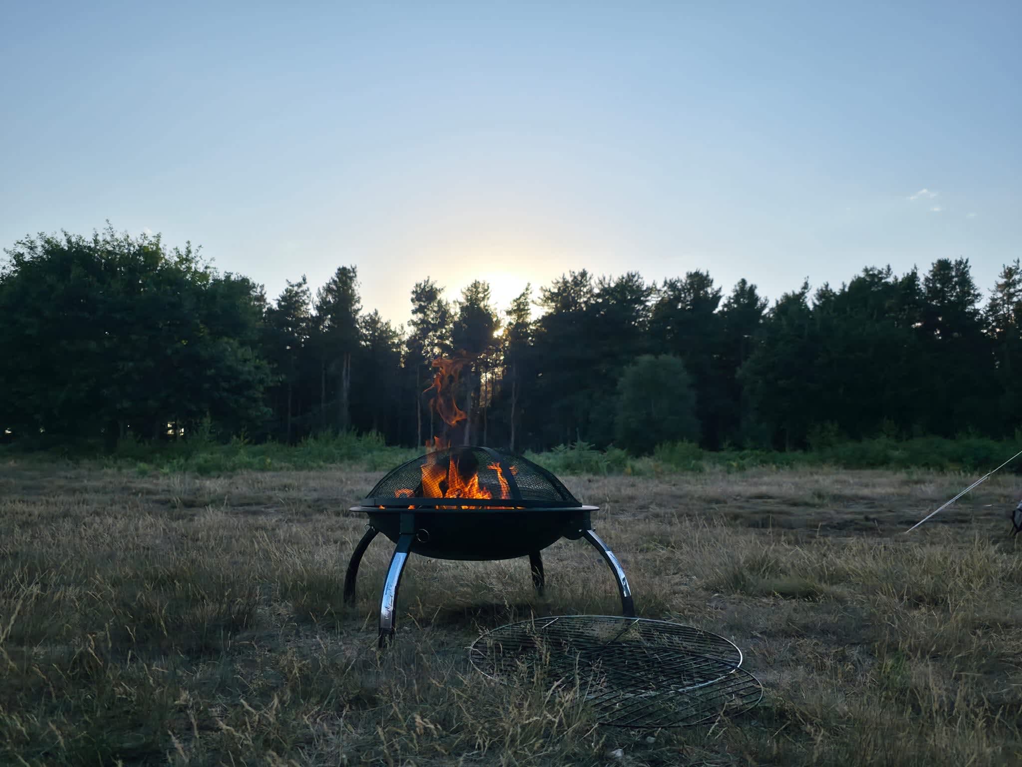 Holistic Woods Wild Campsite