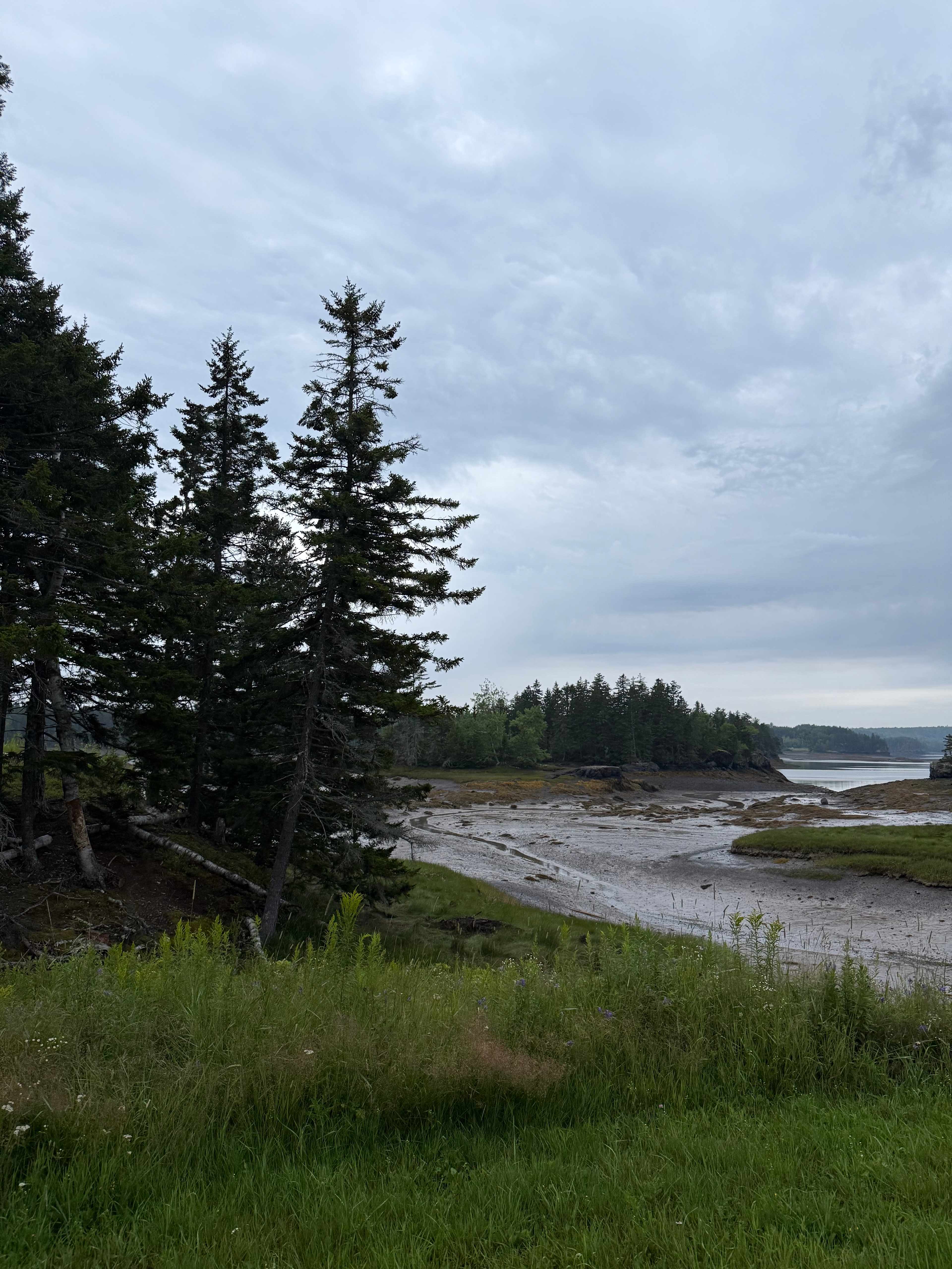 Mouth of the Magaguadavic Camping
