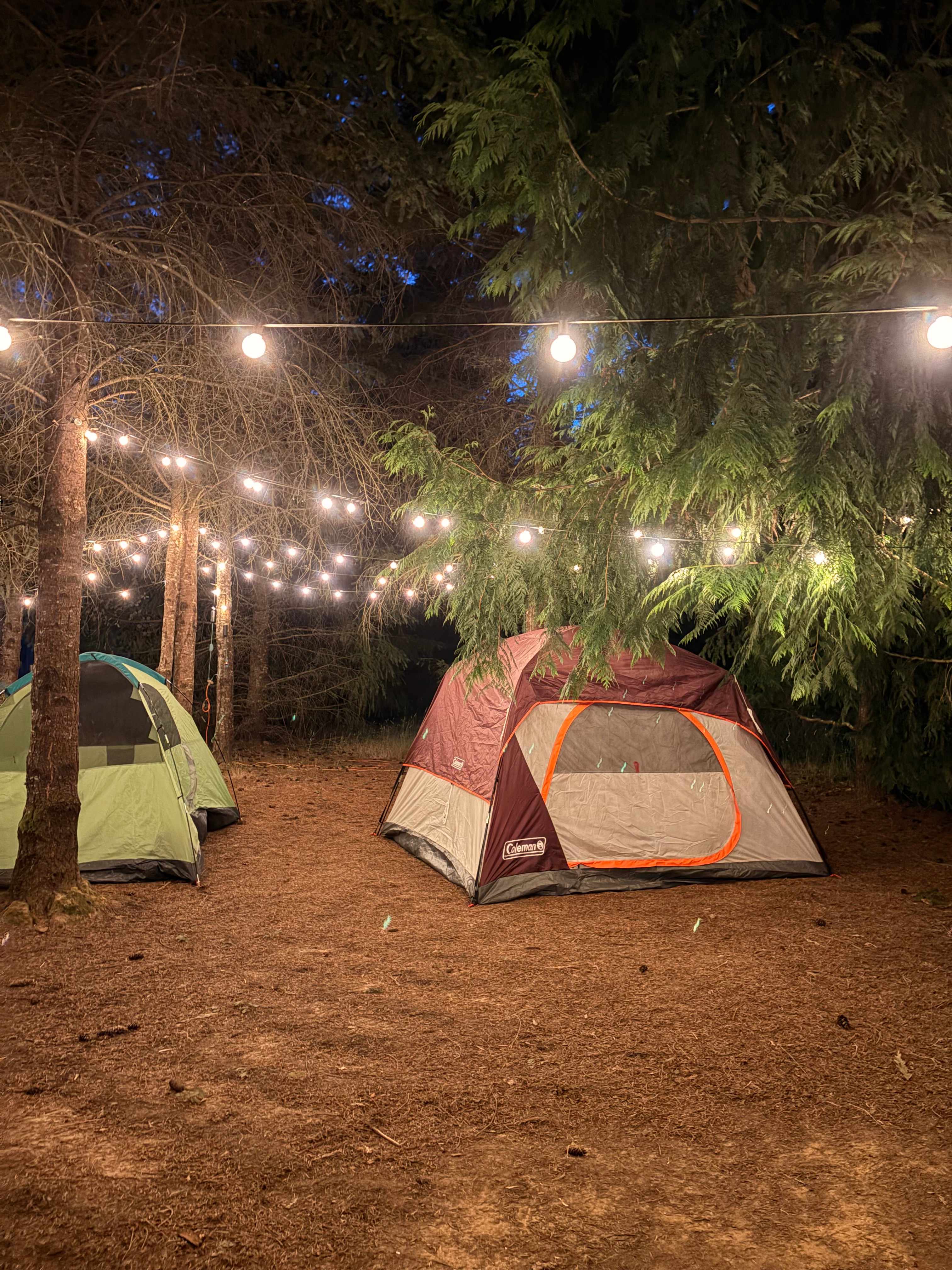 Fernwood Retreat At Bloom Hill