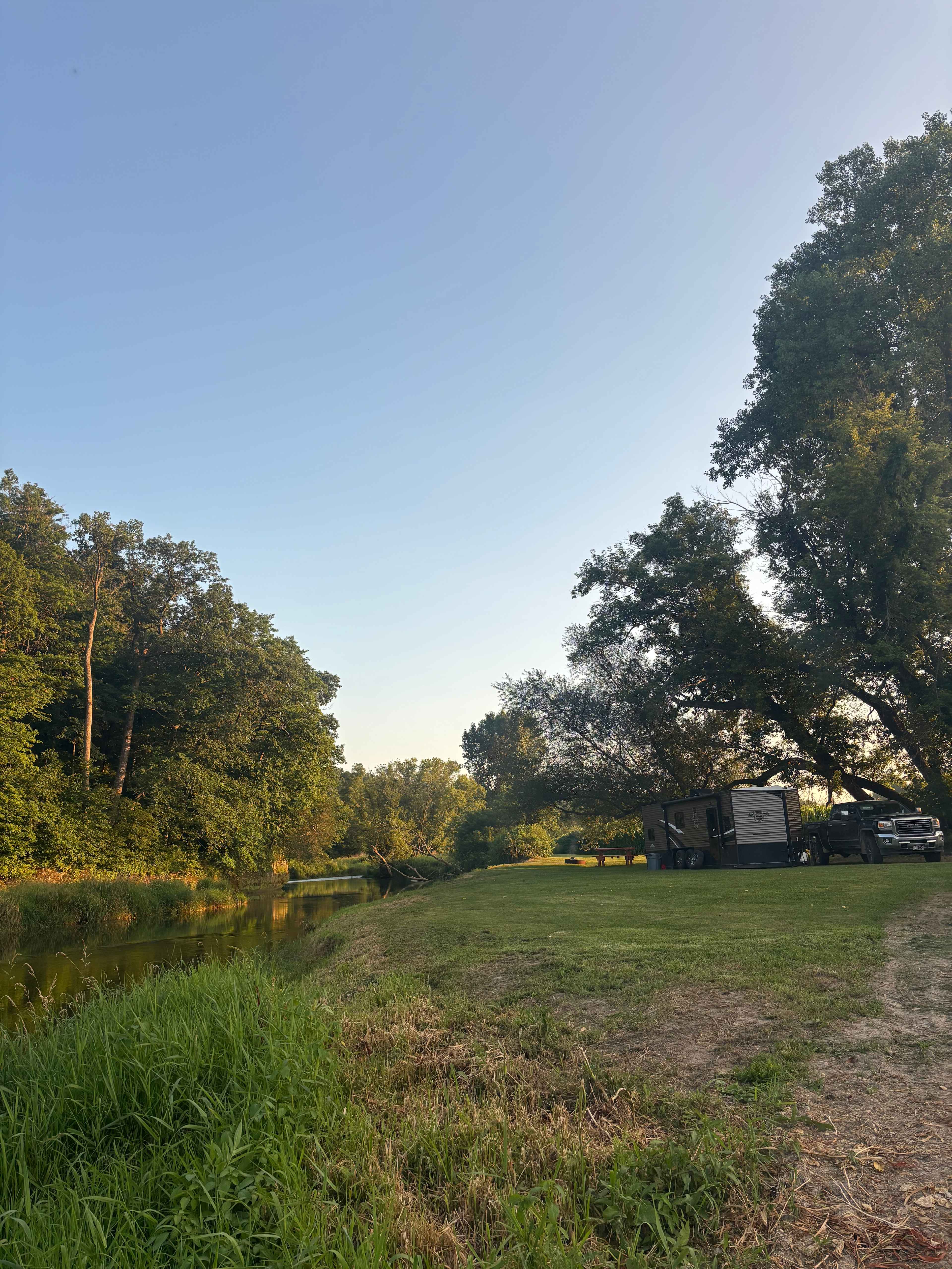 The Driftless Willow