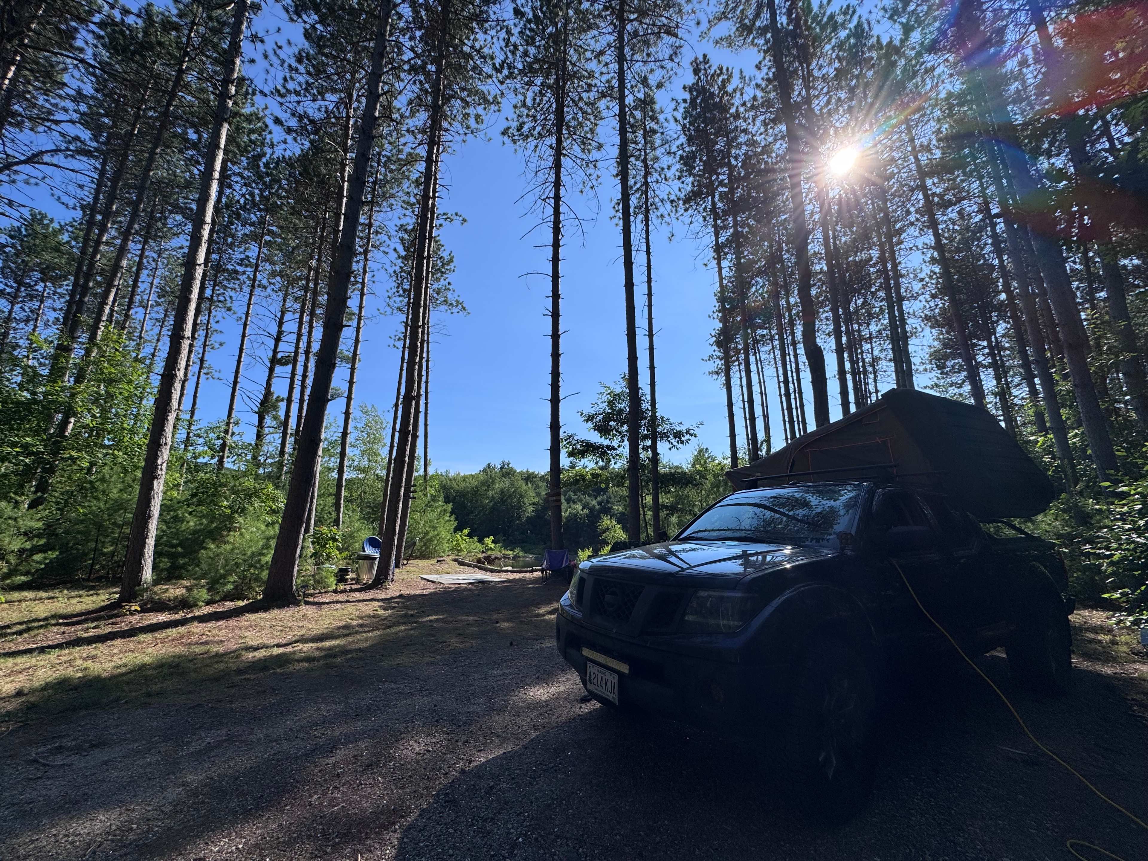 Eagle View Pines