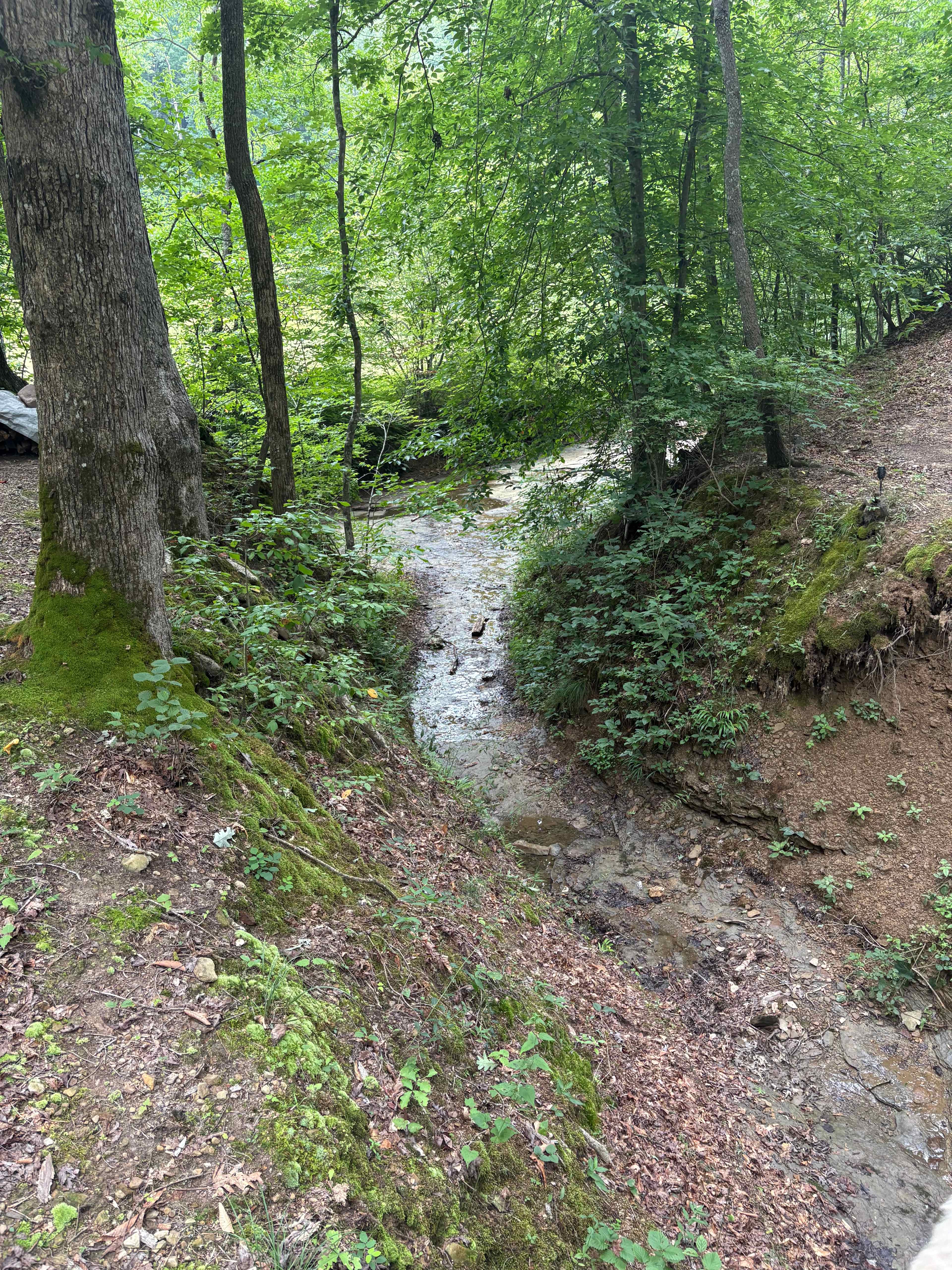Backwoods Hideaway