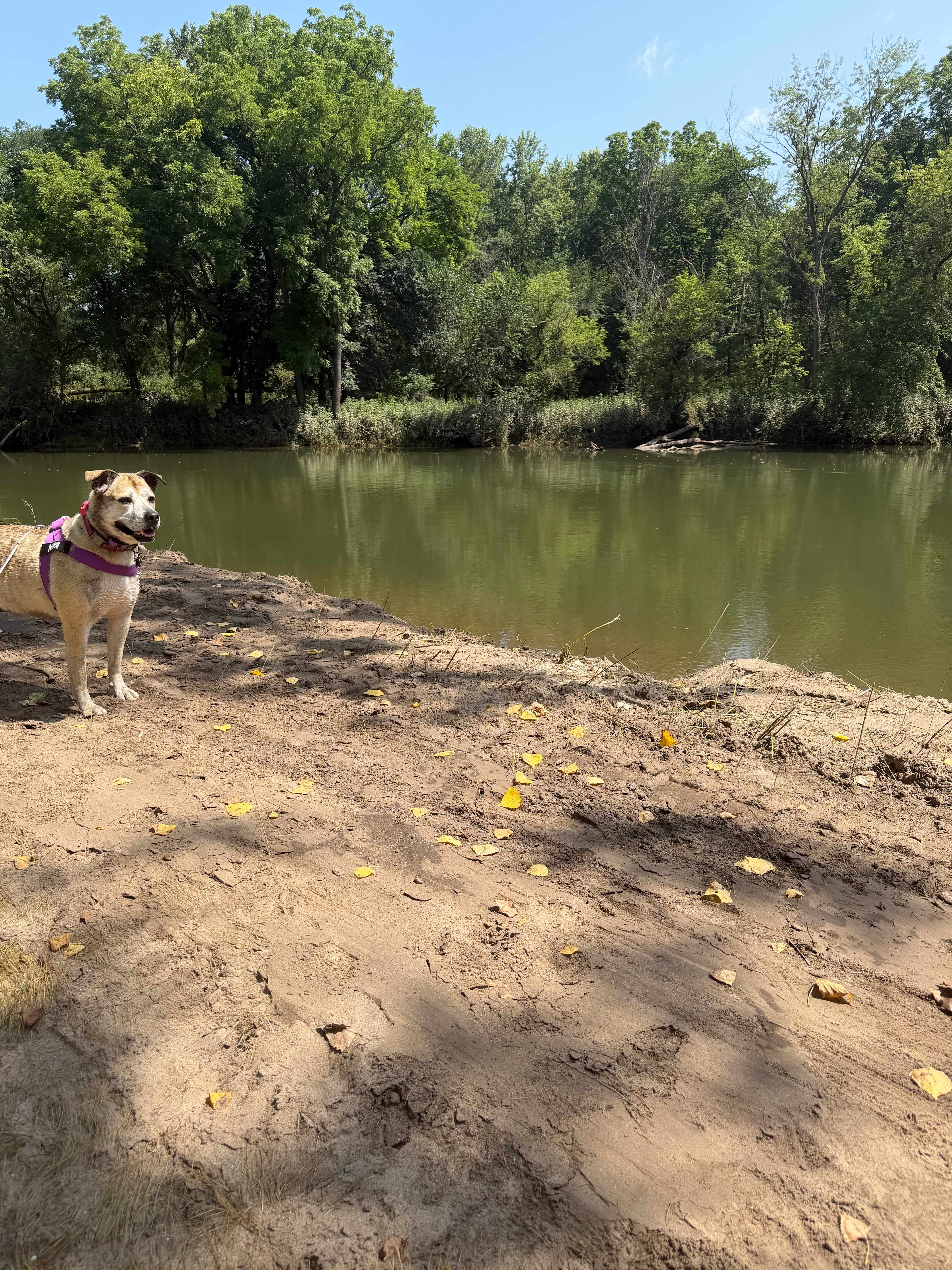 Bollman Bluffs River Camp
