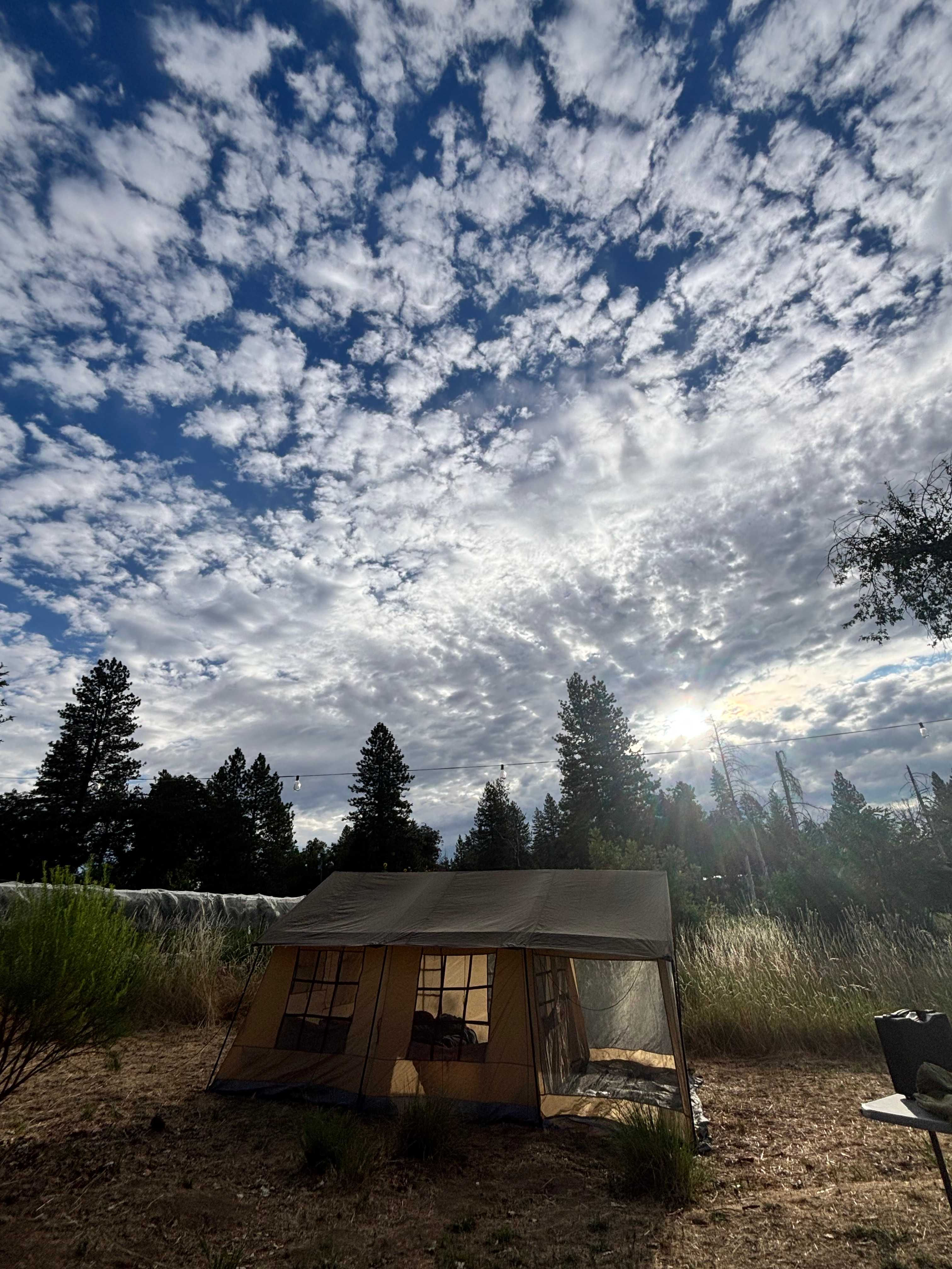 Foothill Ridge
