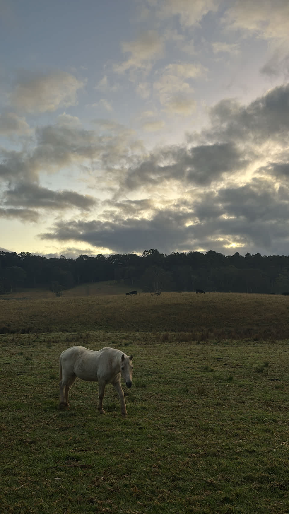 Riviera farm