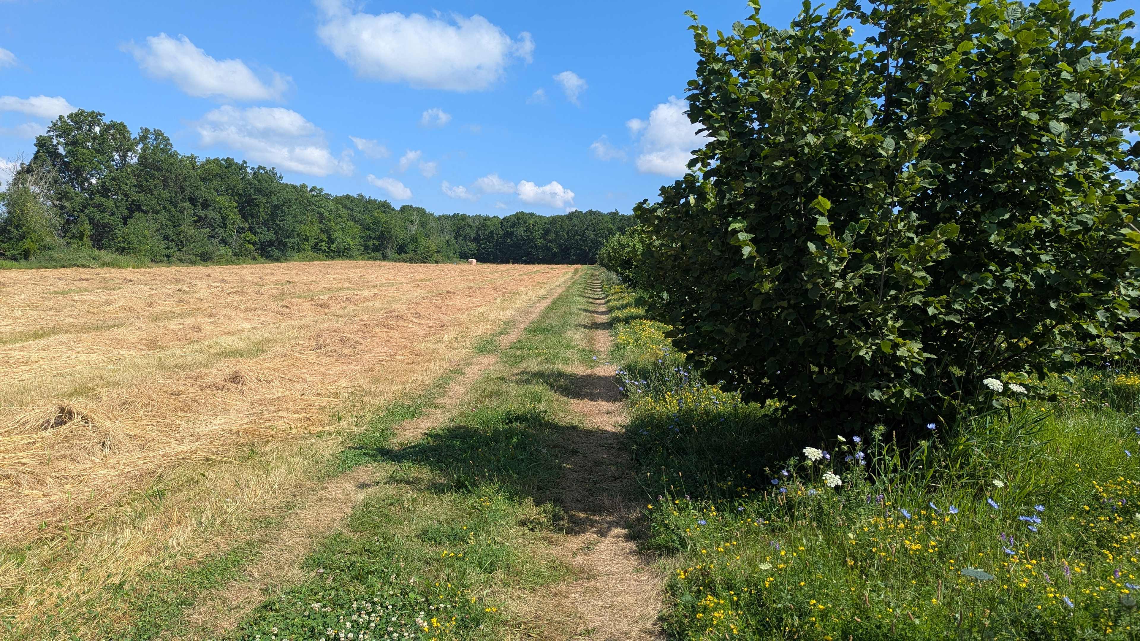 Faron Woods Farm