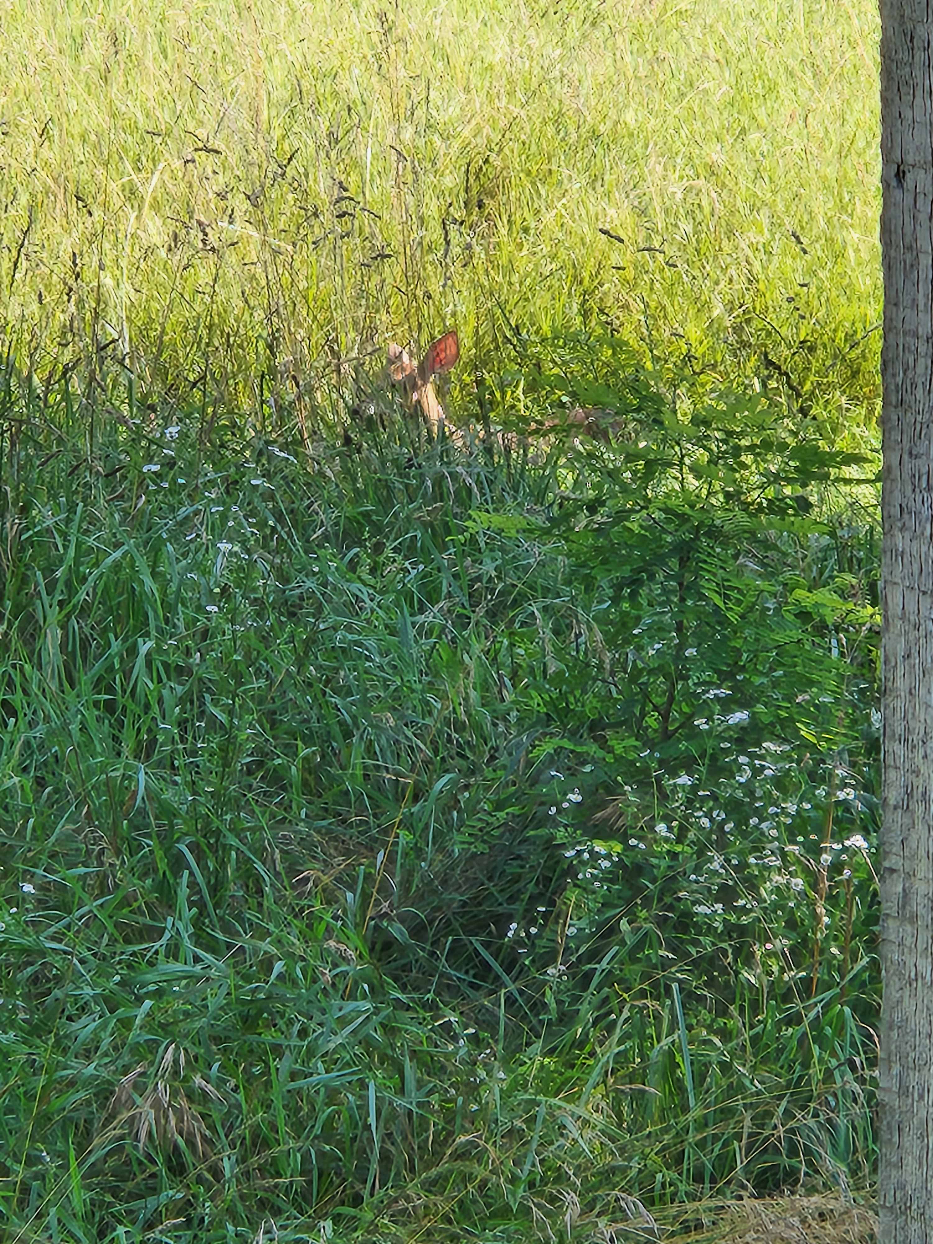 Heart of the Driftless