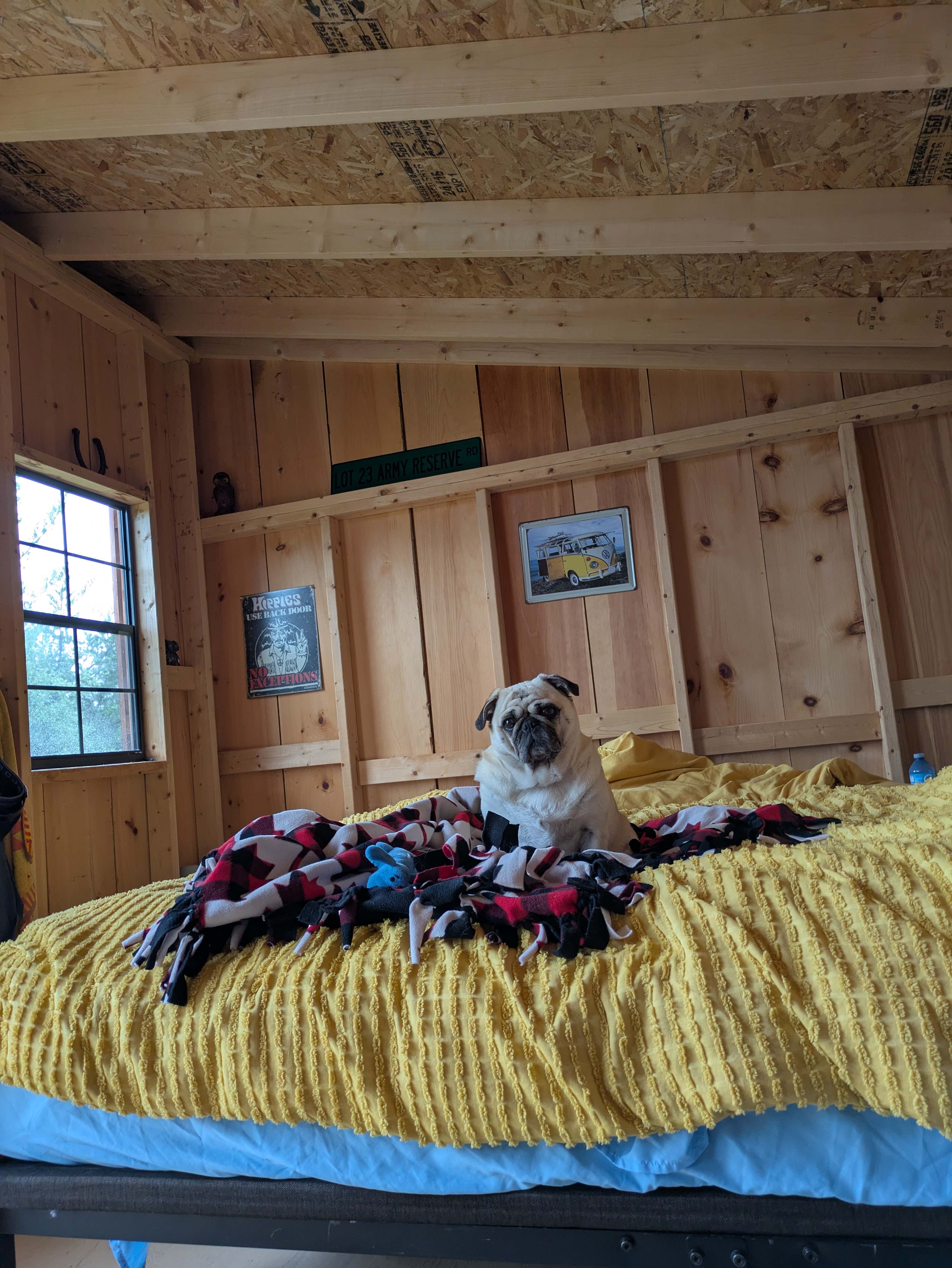 Juniper Beach Bunkie