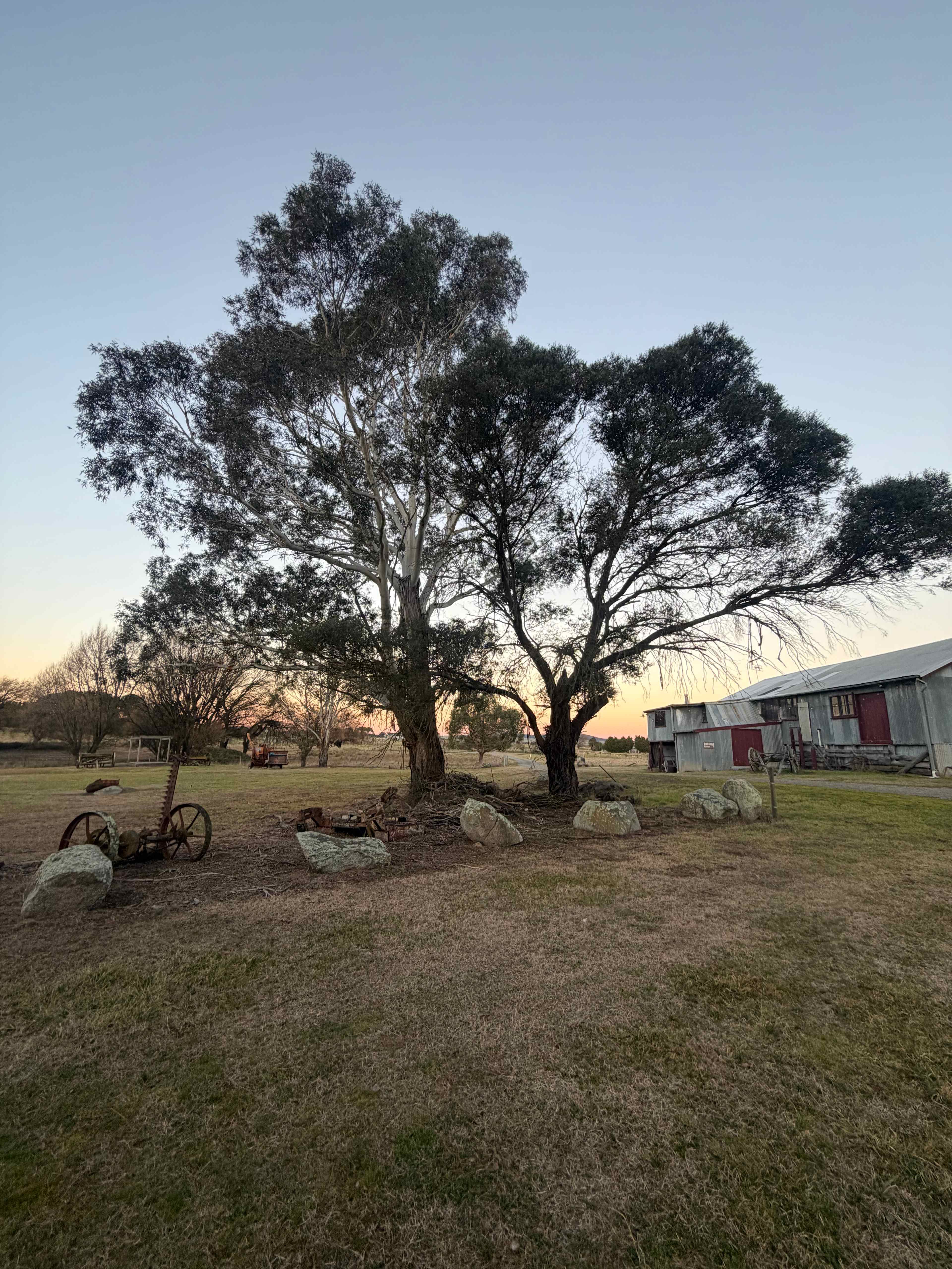 Garanvale Woolshed