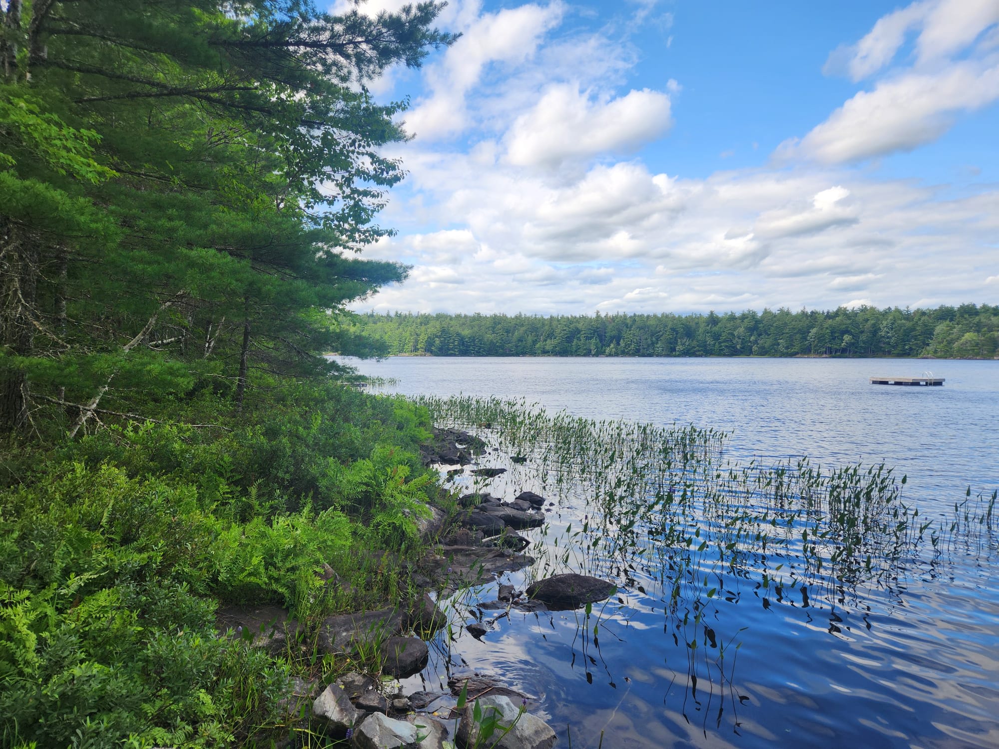 Owl's Hollow Eco-Therapy Glamping