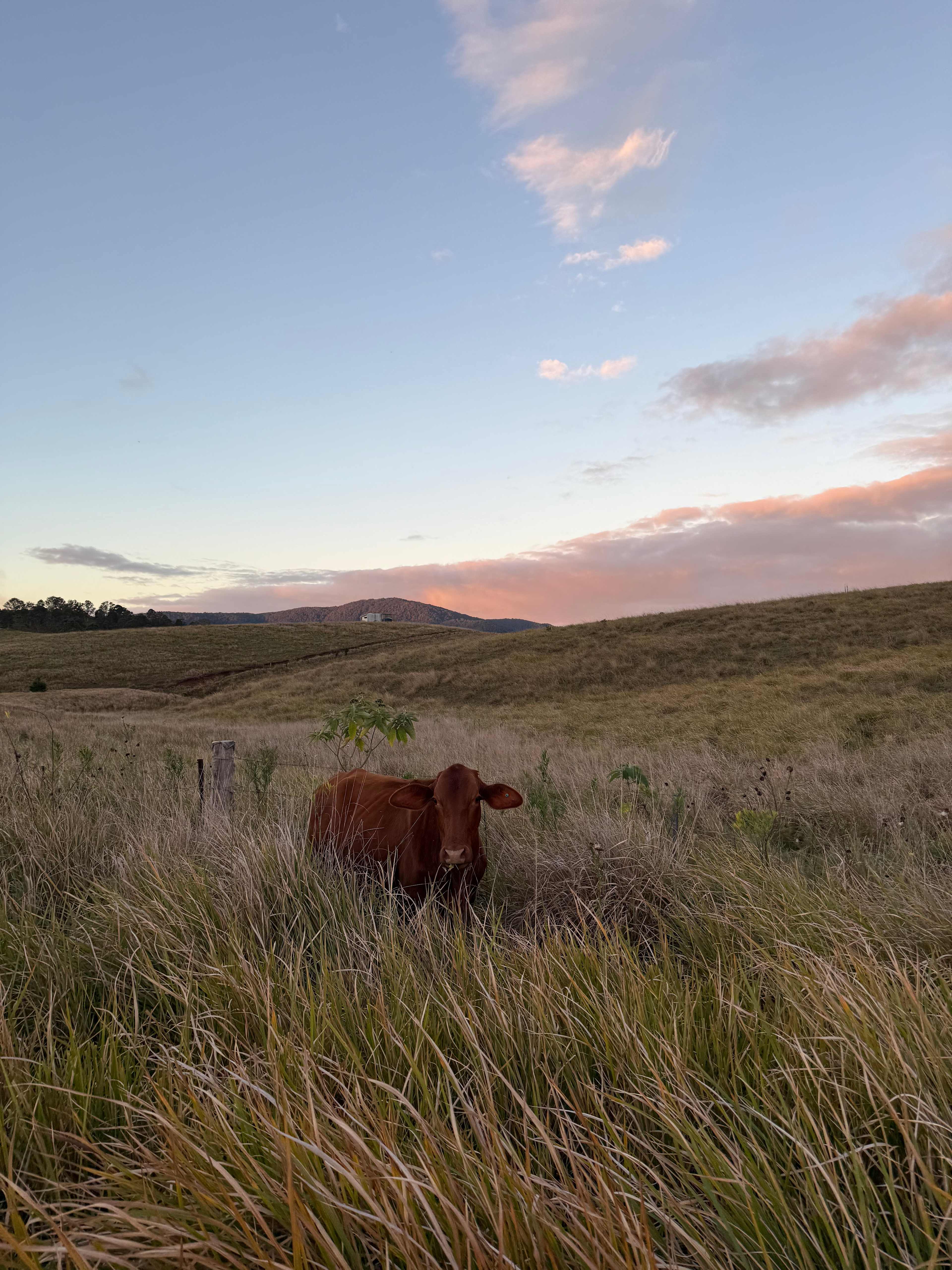 100 Acre Estate
