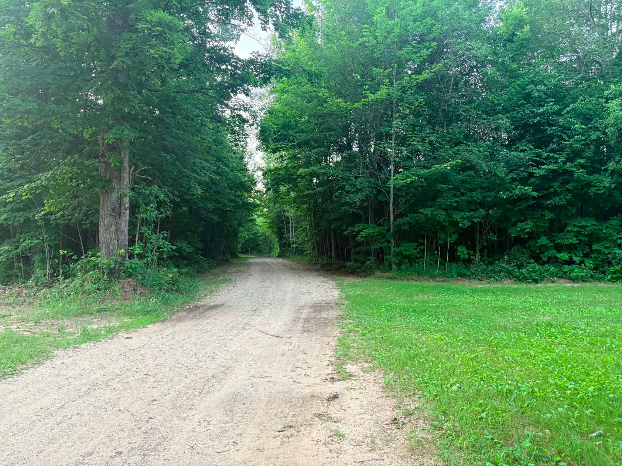 Woodhaven