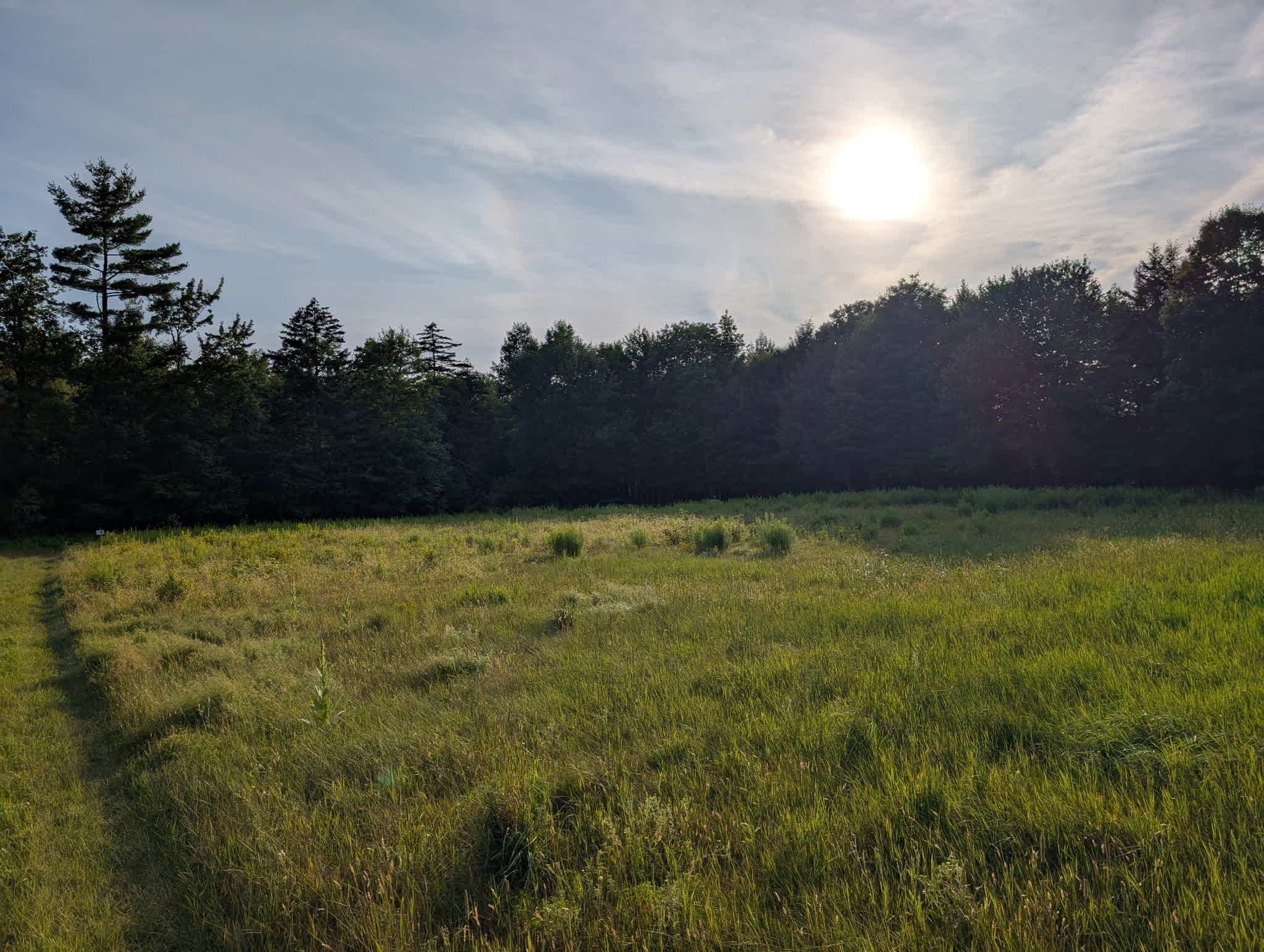 Peregrine Farm and Forest