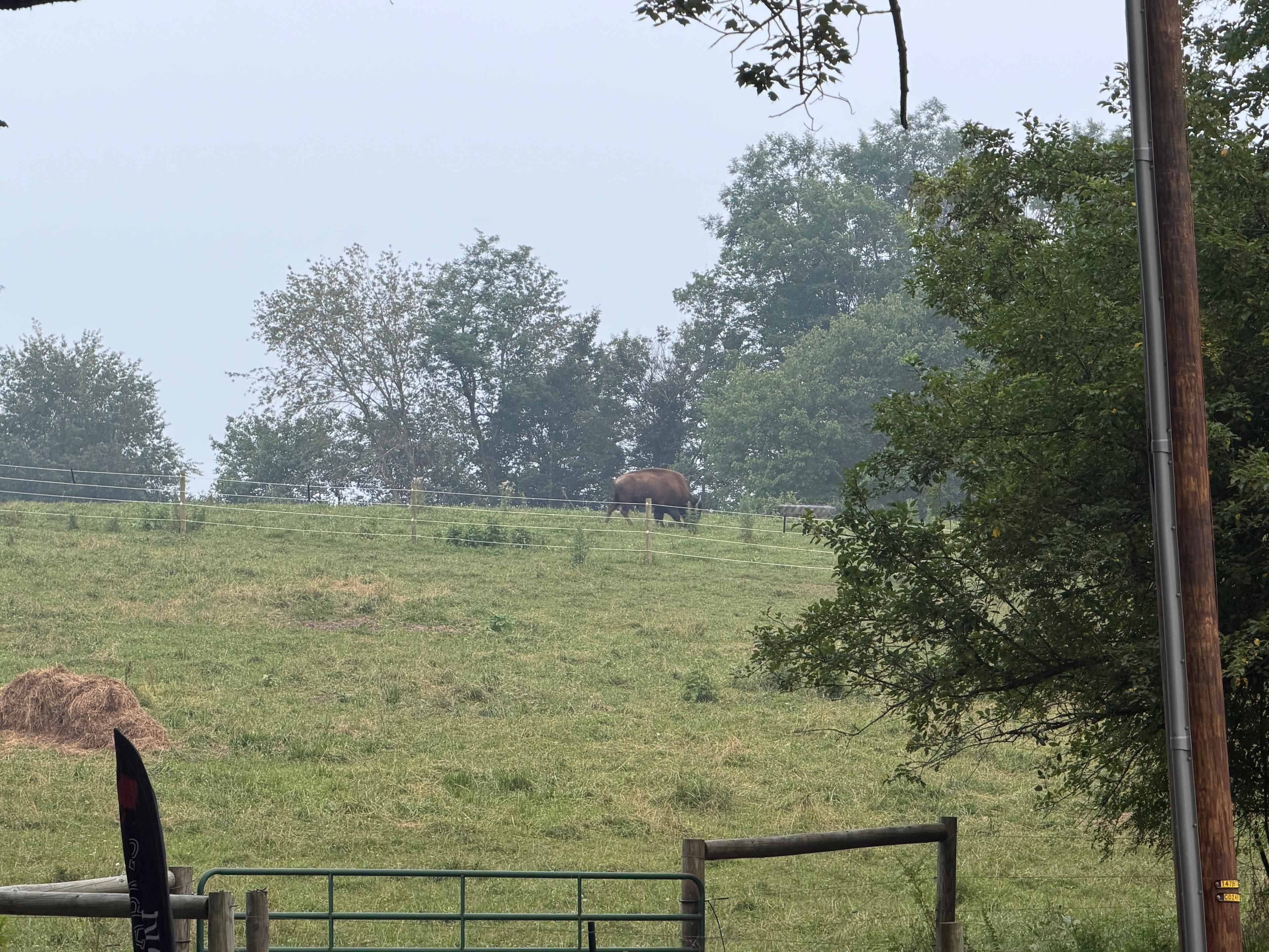 The Pointe at Riffle Farms