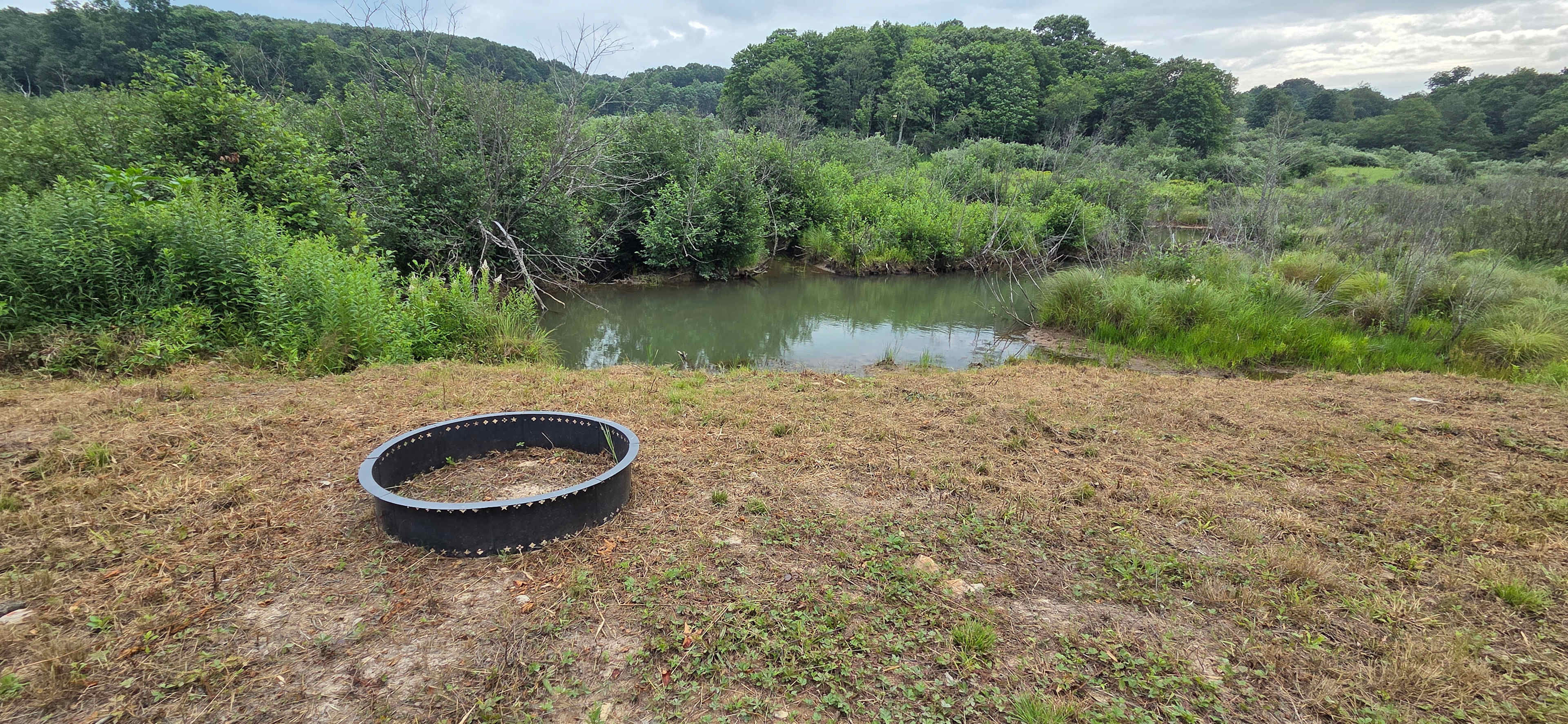 Beaver dam site, fire ring by stream. Table near also