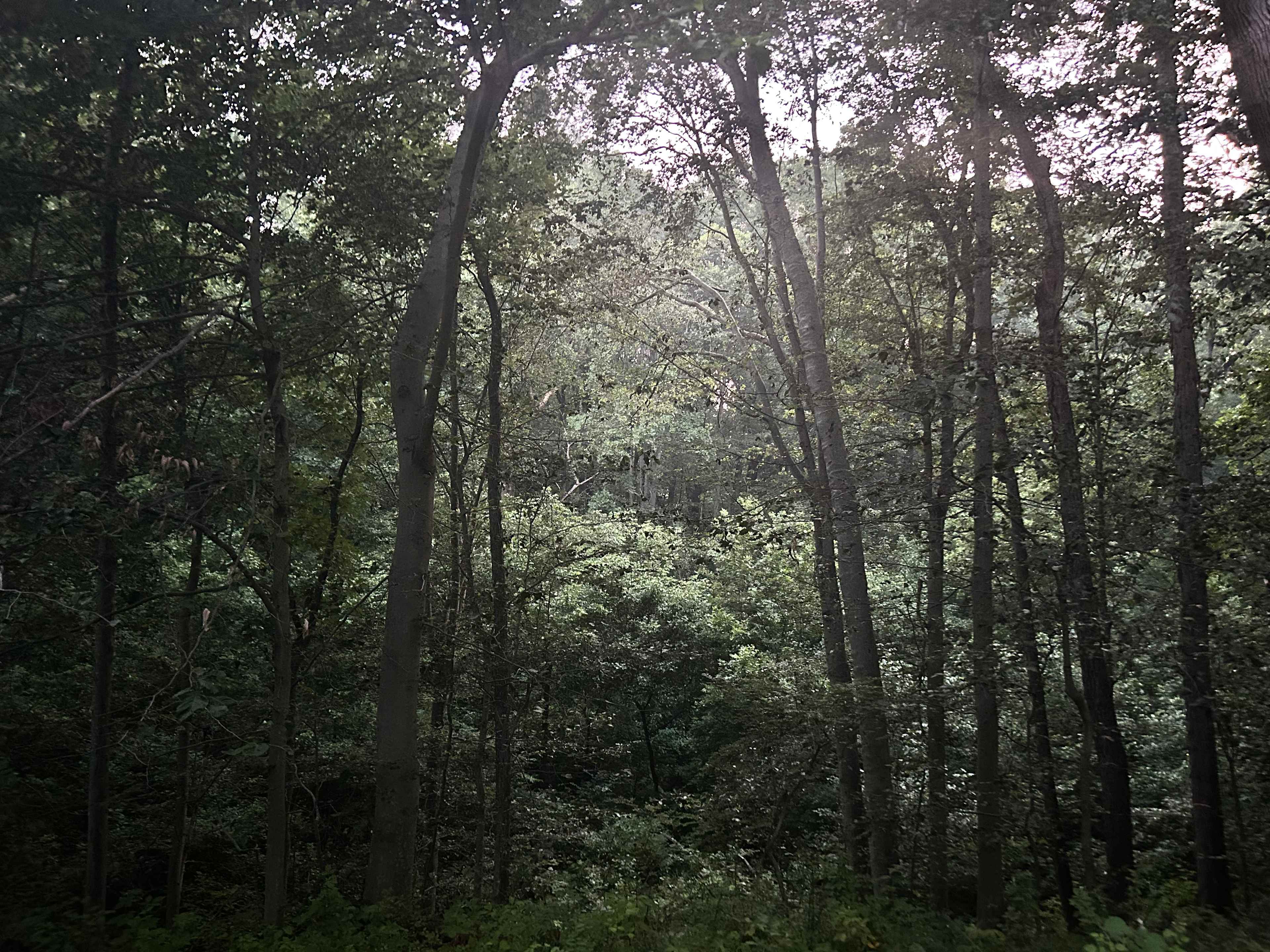 Creekside at Crystal Lake