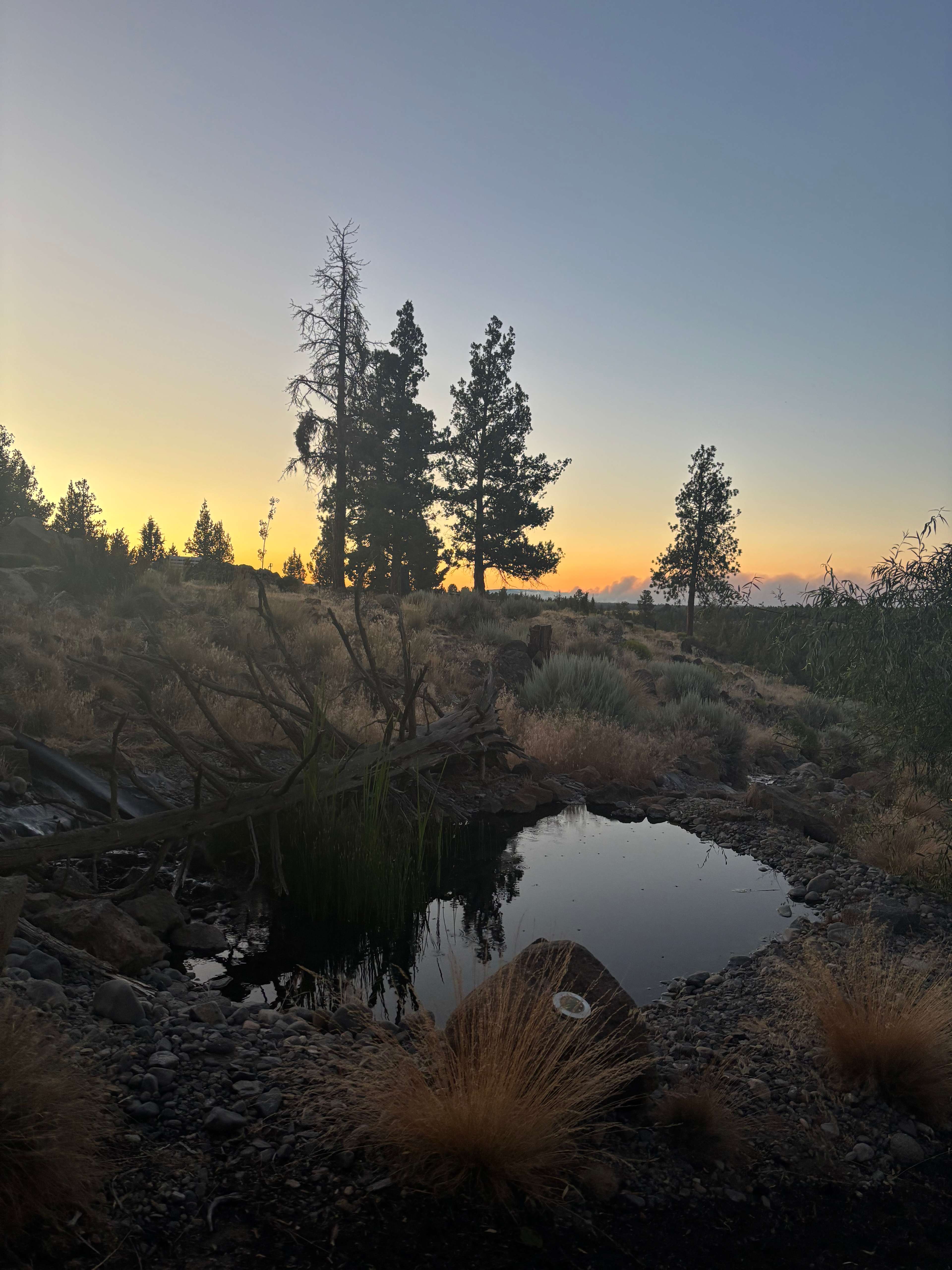 Sunset on our last evening🤩