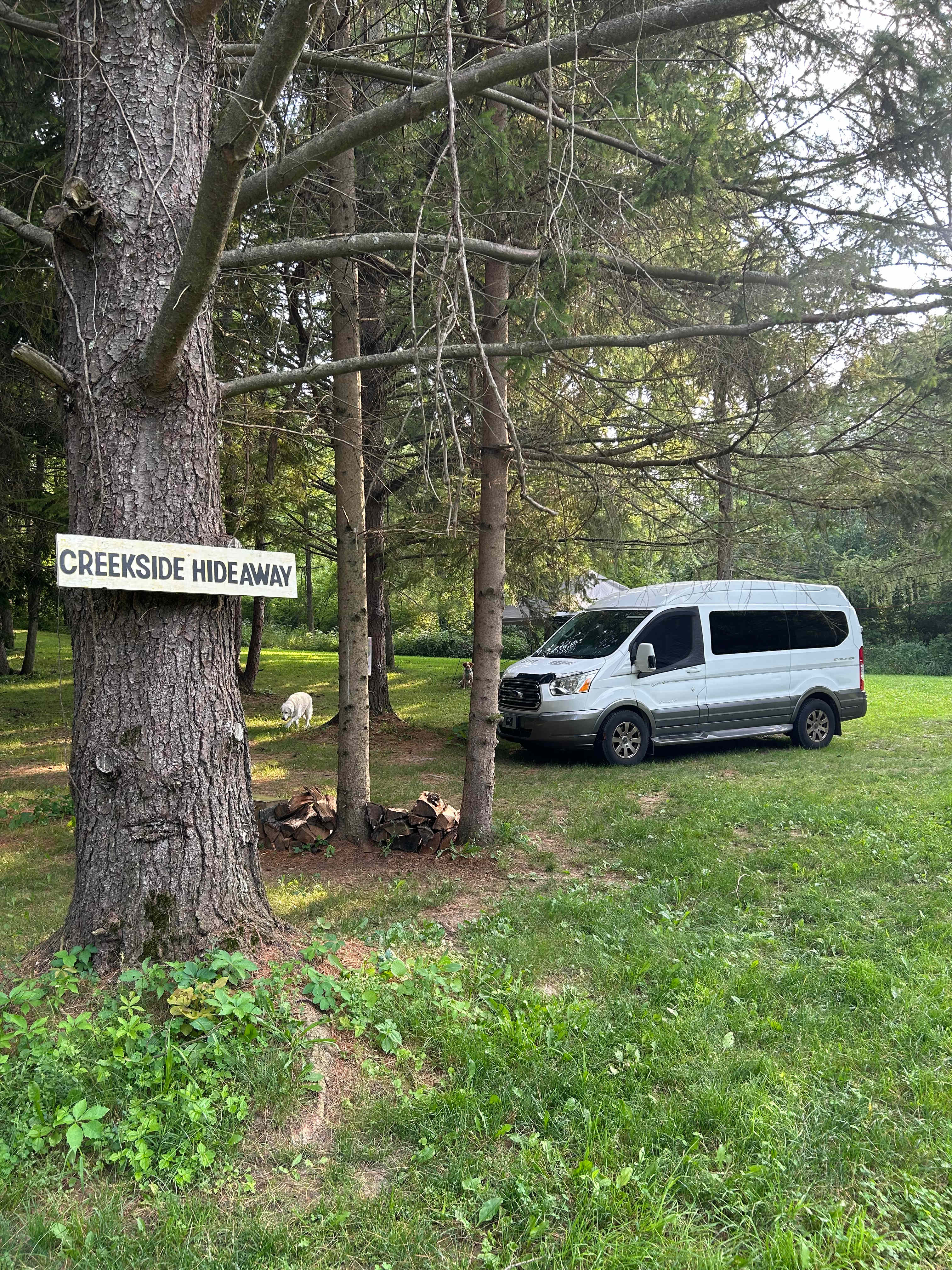 Boone Farm & Forest