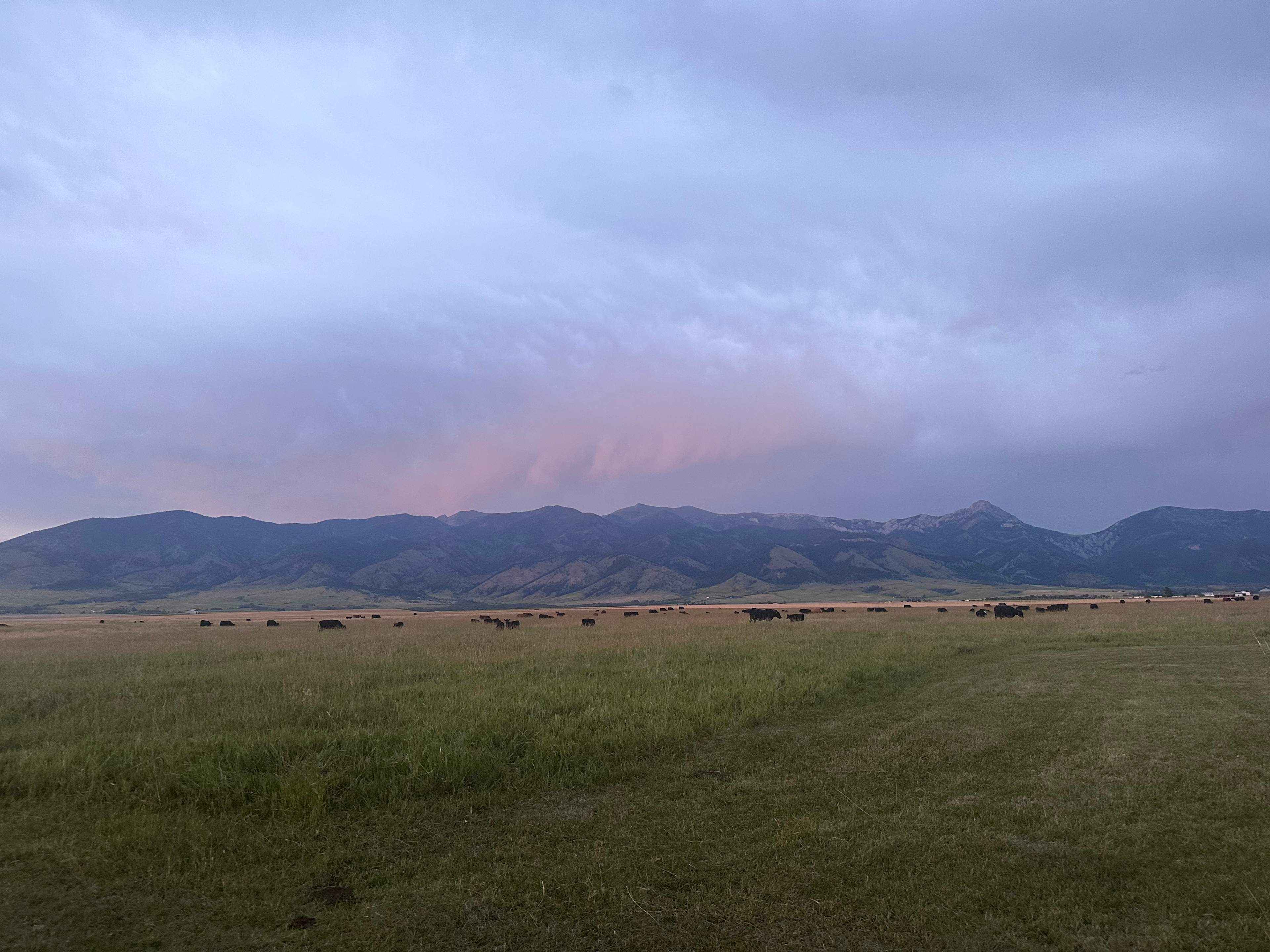 Bridger Views