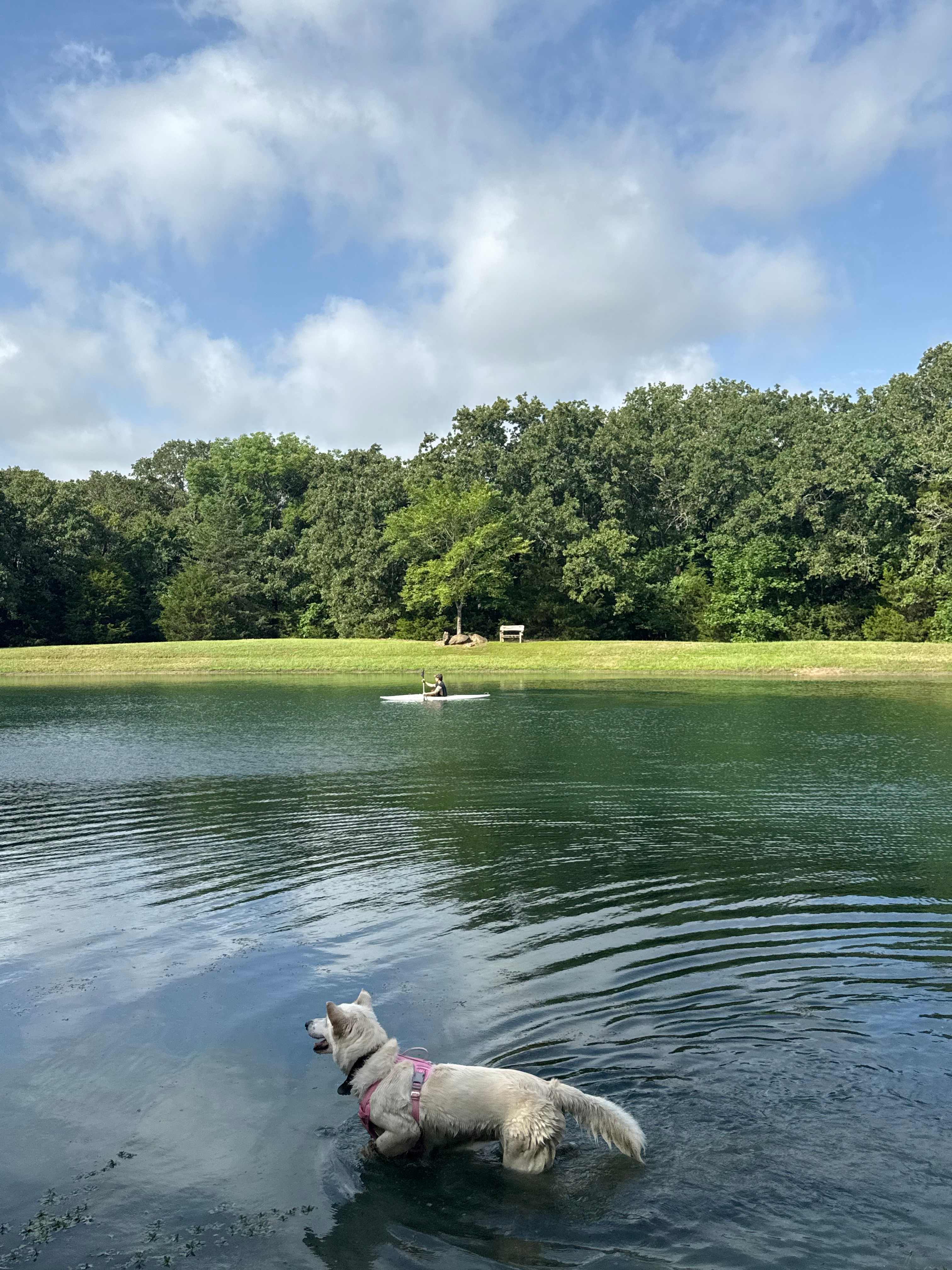 Texas Safari Camp