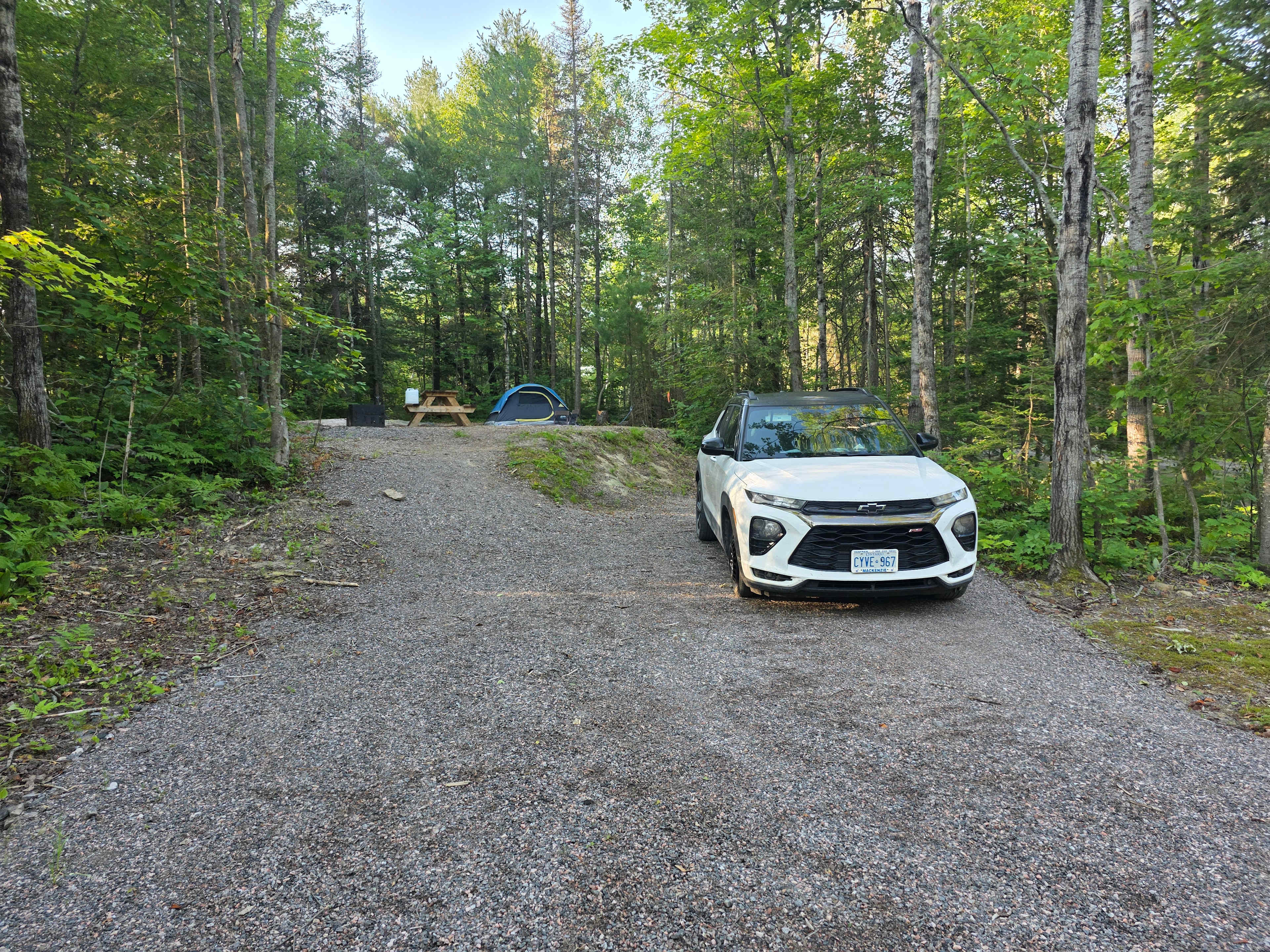 Picture of the site
