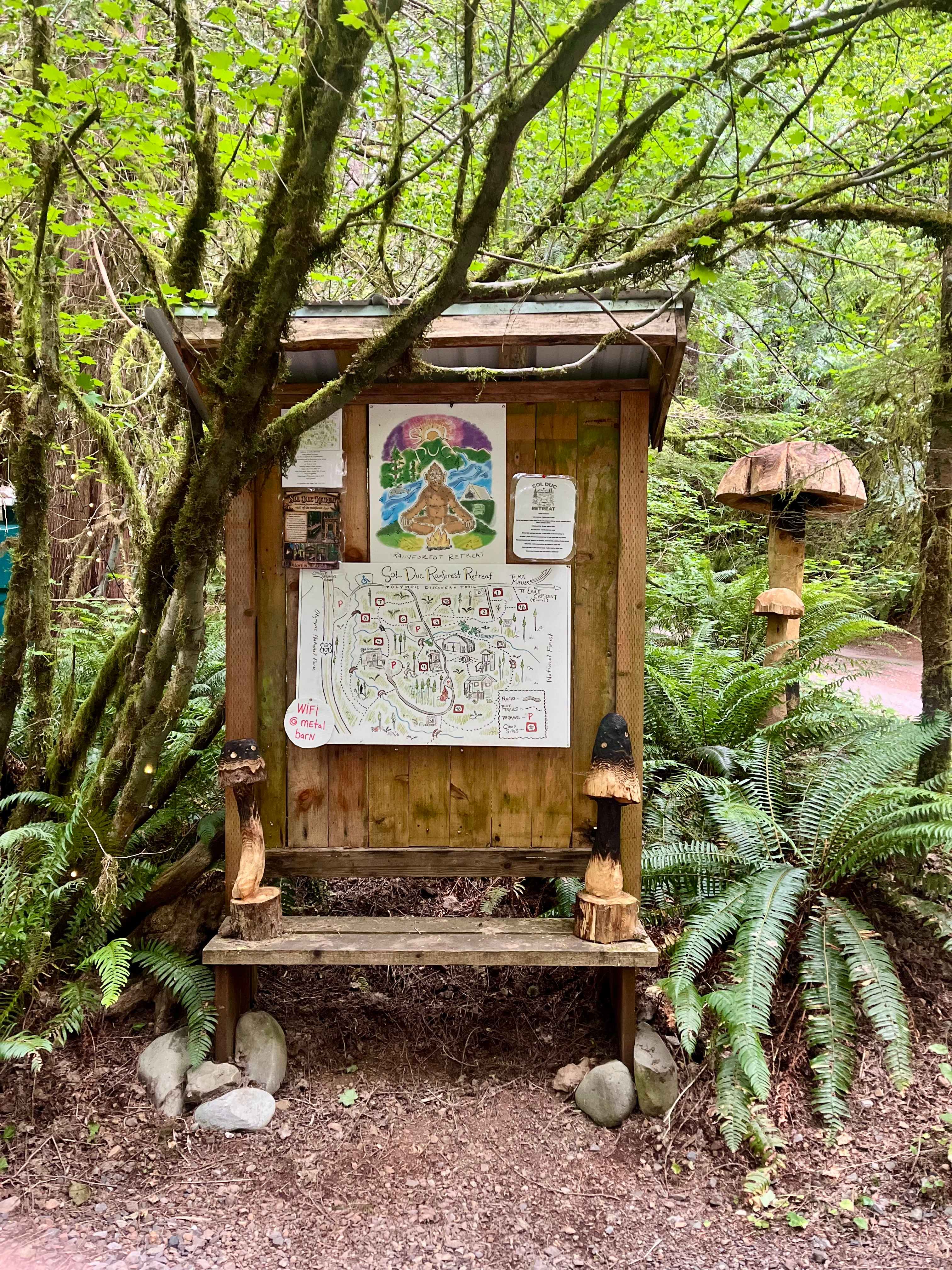 sol duc rainforest retreat