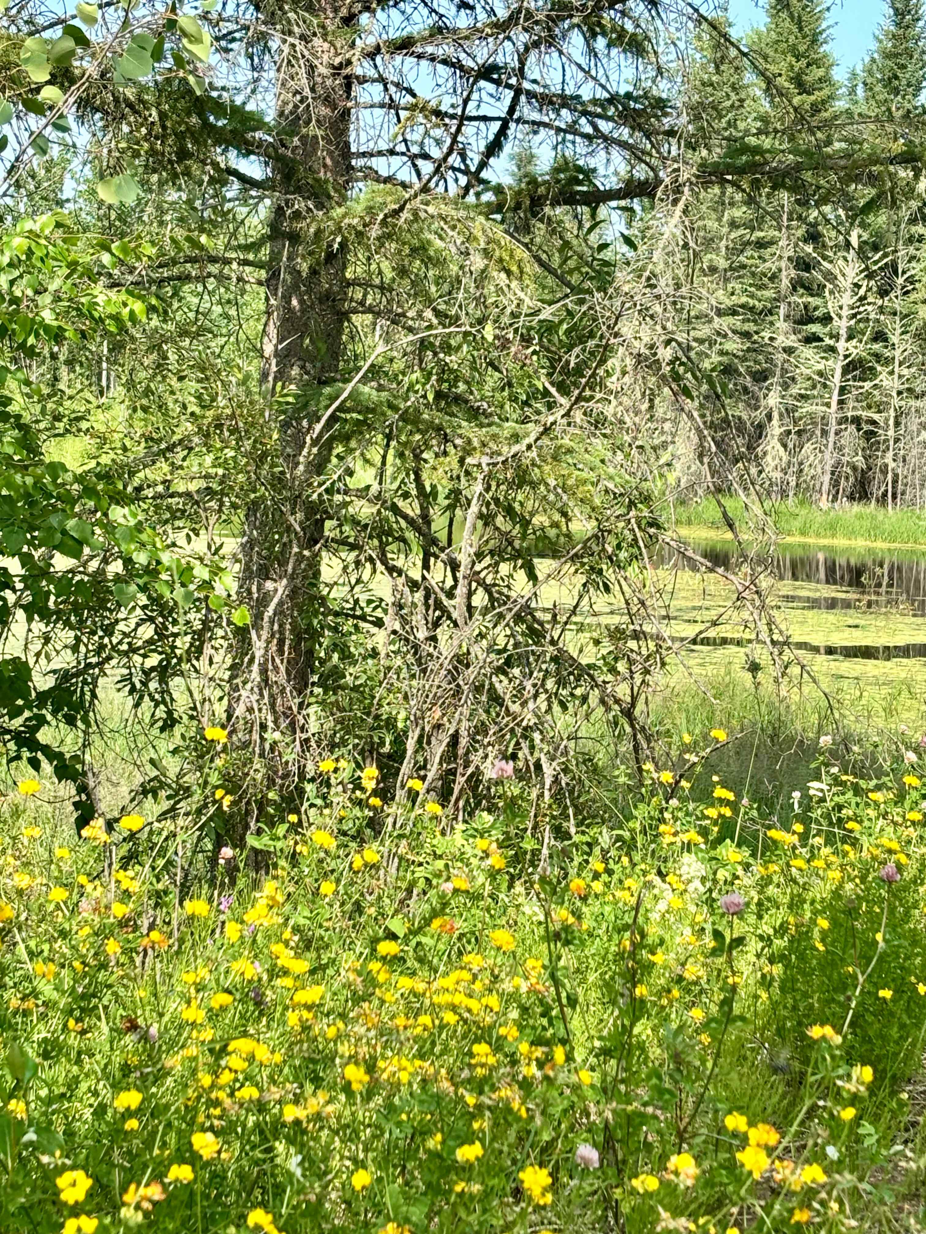 Nature Alive Adventures and Camping