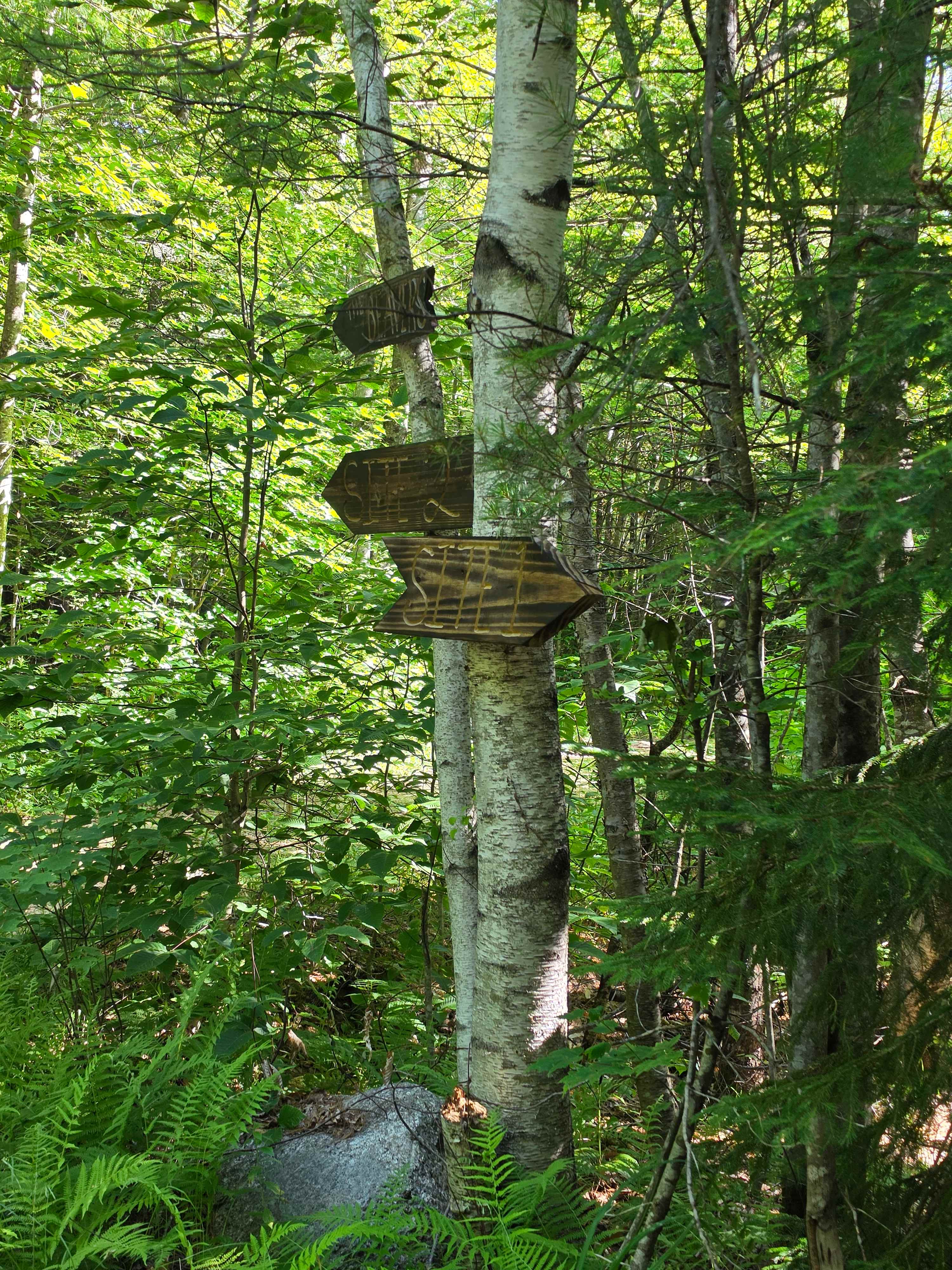 Sacred Nectar Sanctuary